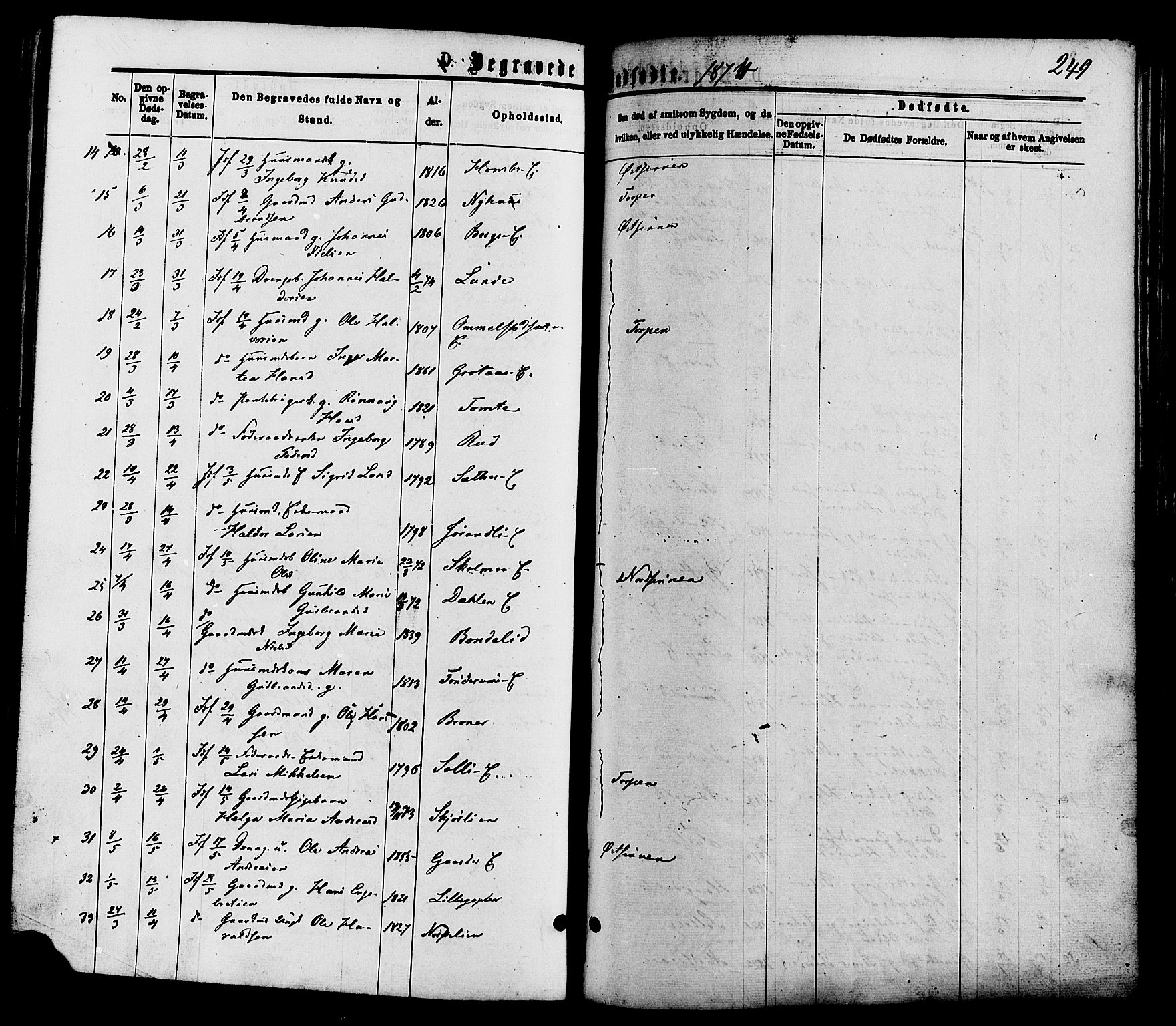 Nordre Land prestekontor, SAH/PREST-124/H/Ha/Haa/L0002: Parish register (official) no. 2, 1872-1881, p. 249