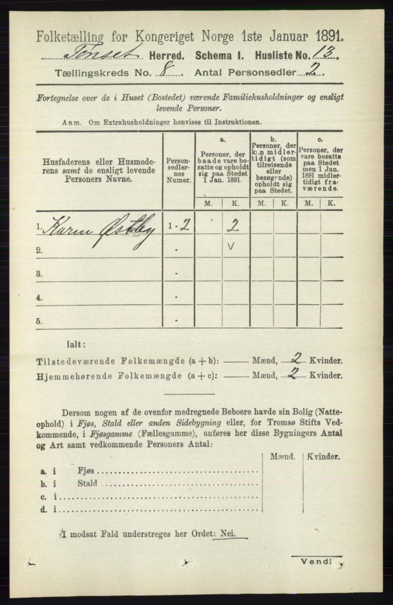 RA, 1891 census for 0437 Tynset, 1891, p. 2046