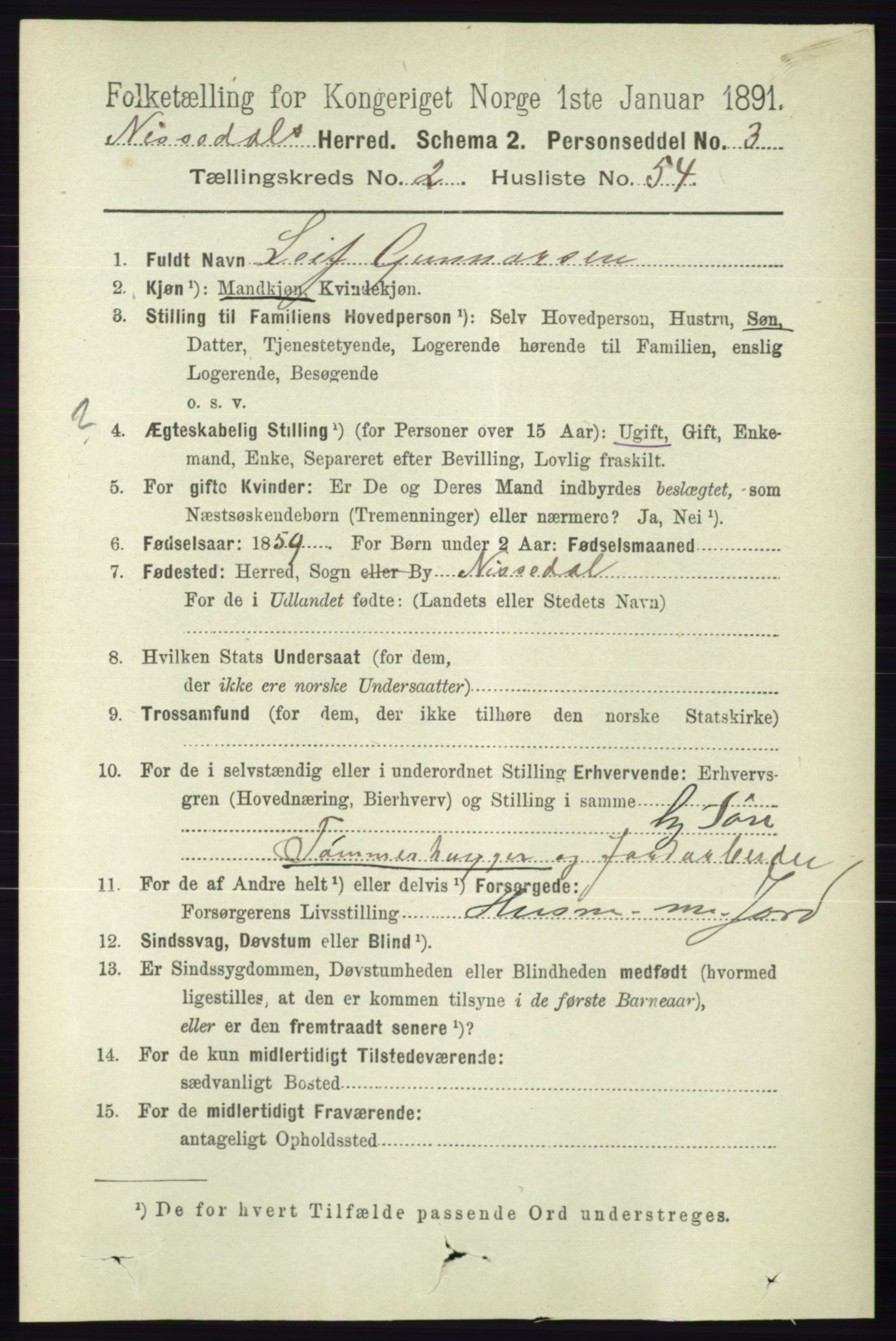 RA, 1891 census for 0830 Nissedal, 1891, p. 593