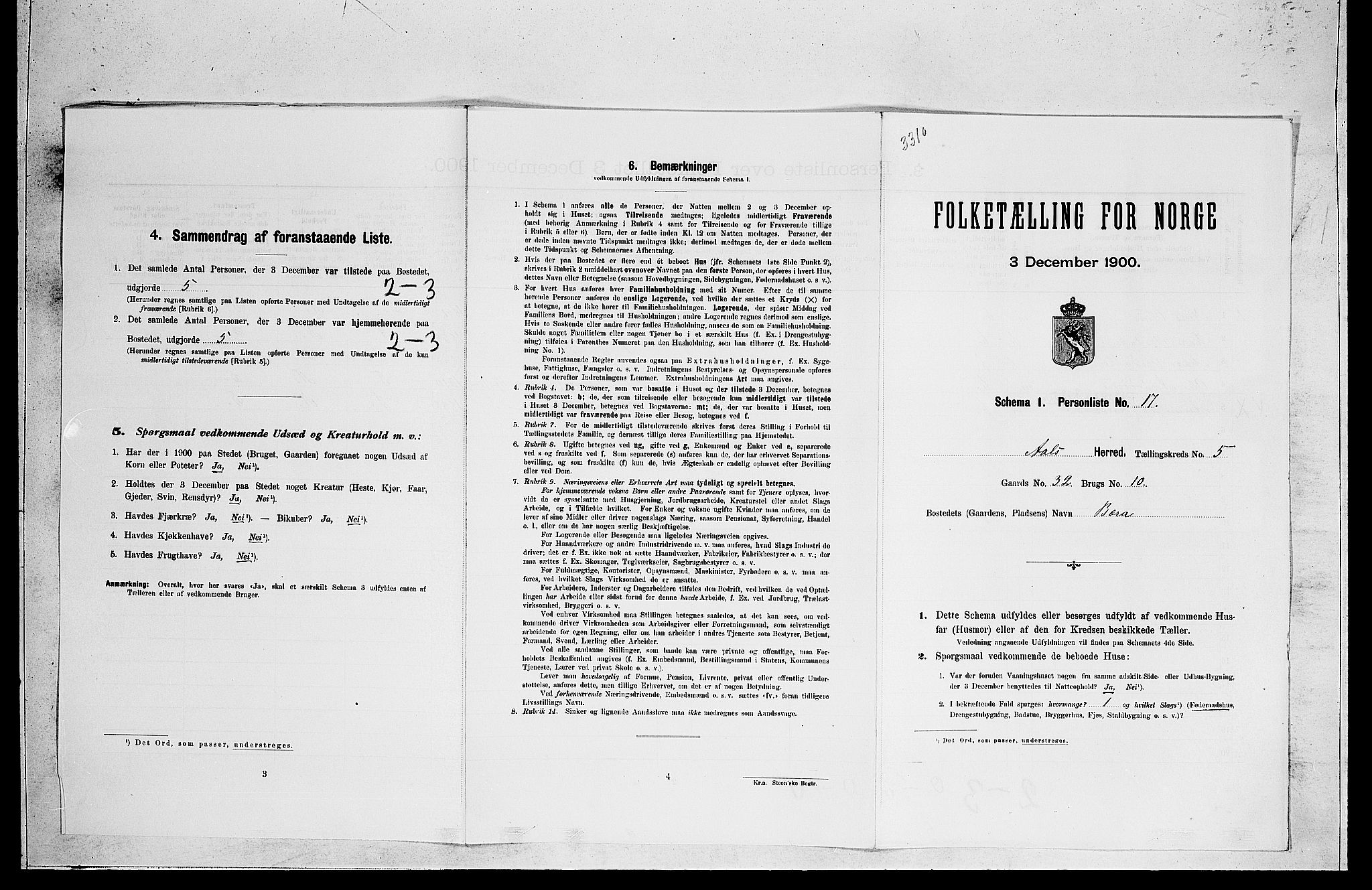 RA, 1900 census for Ål, 1900, p. 495