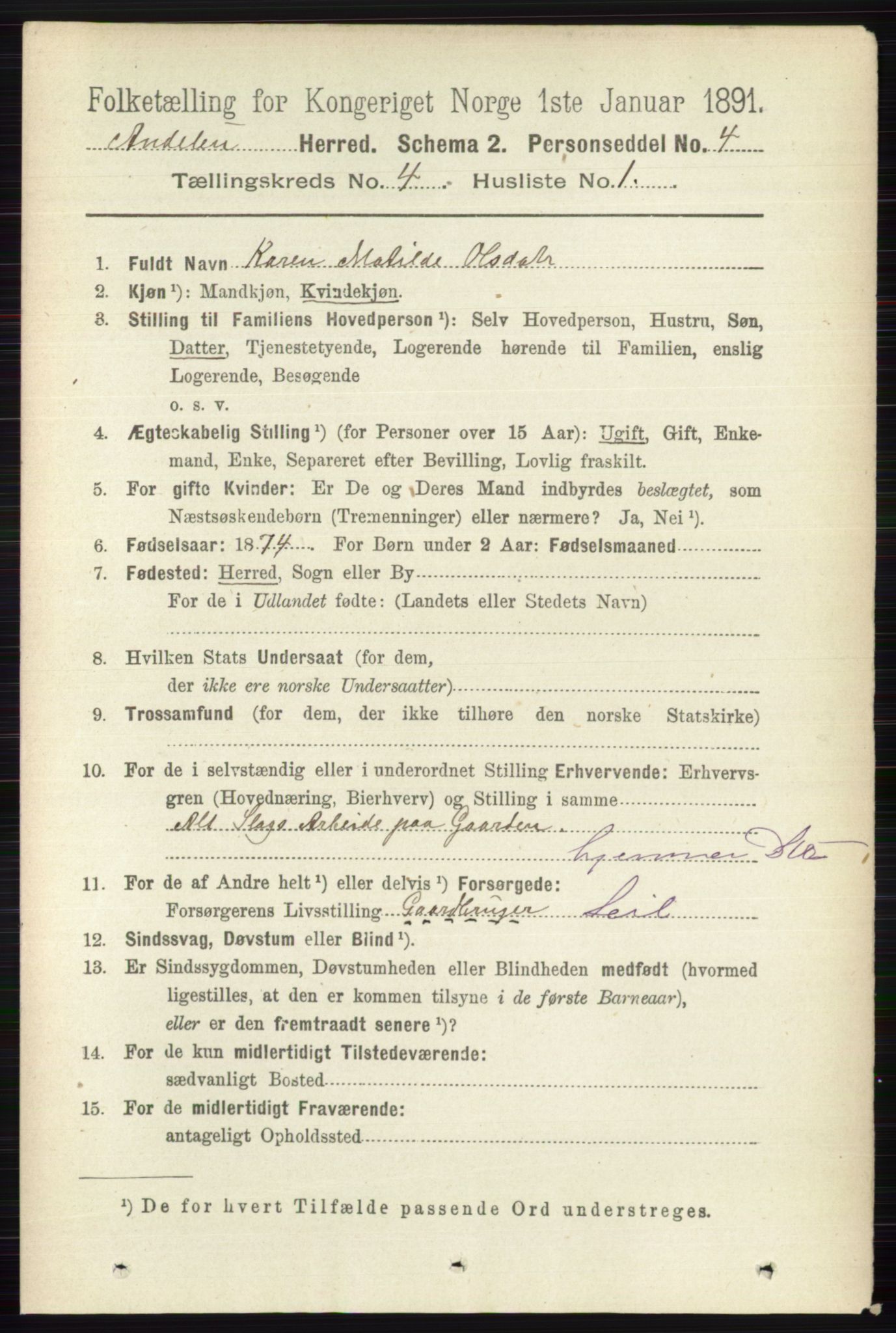 RA, 1891 census for 0719 Andebu, 1891, p. 2041