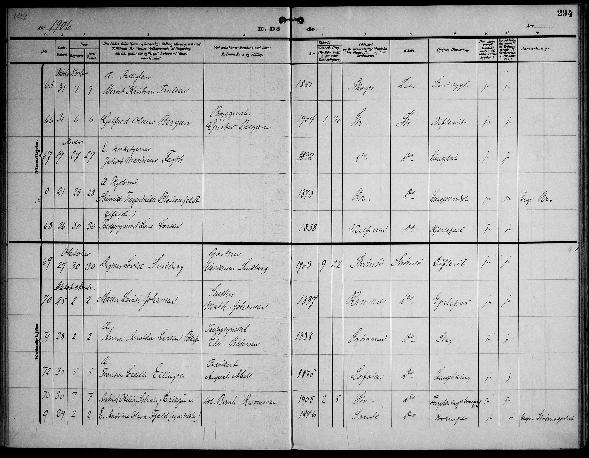 Strømsø kirkebøker, AV/SAKO-A-246/F/Fa/L0026: Parish register (official) no. I 26, 1905-1914, p. 294