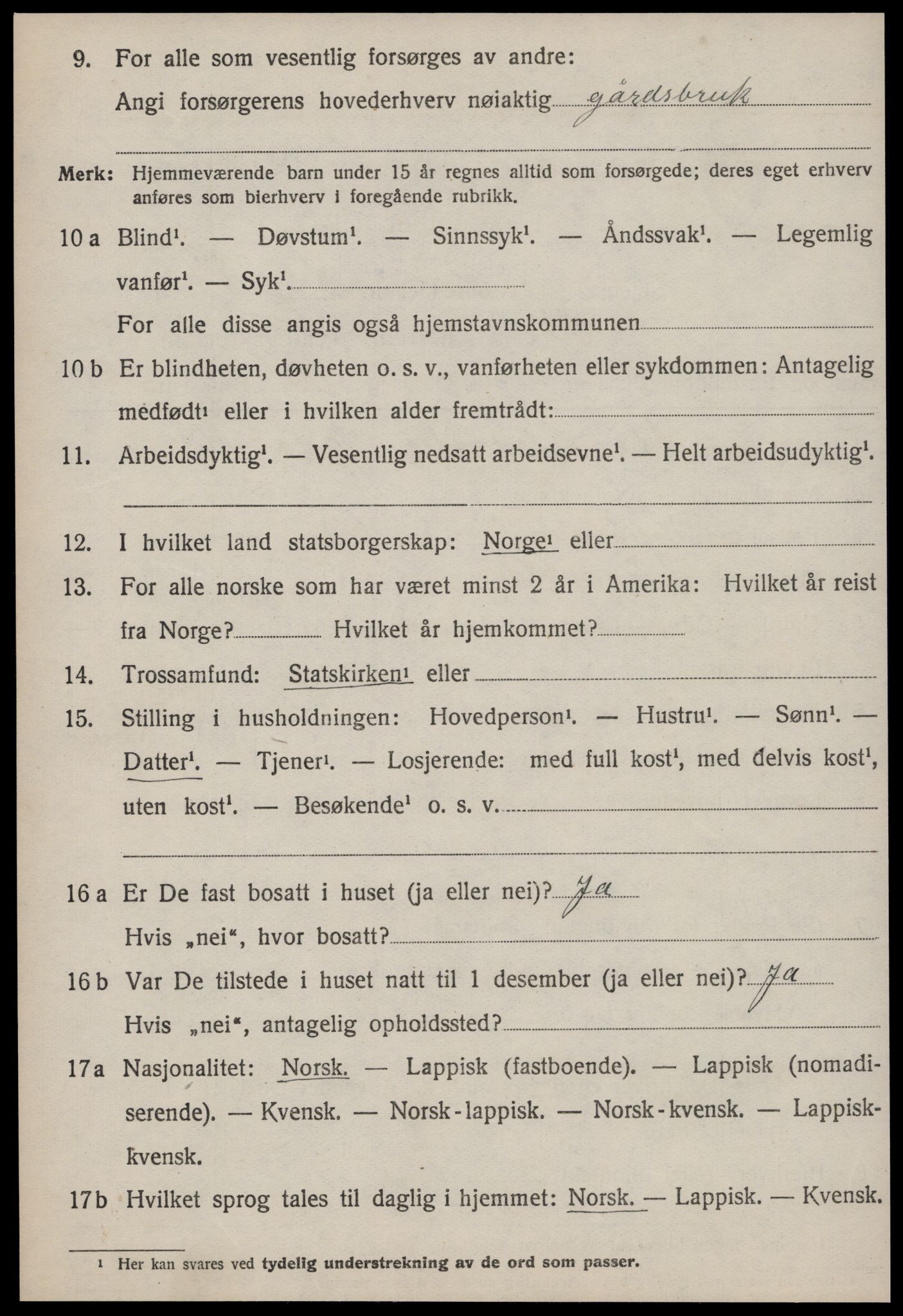 SAT, 1920 census for Røros, 1920, p. 10613