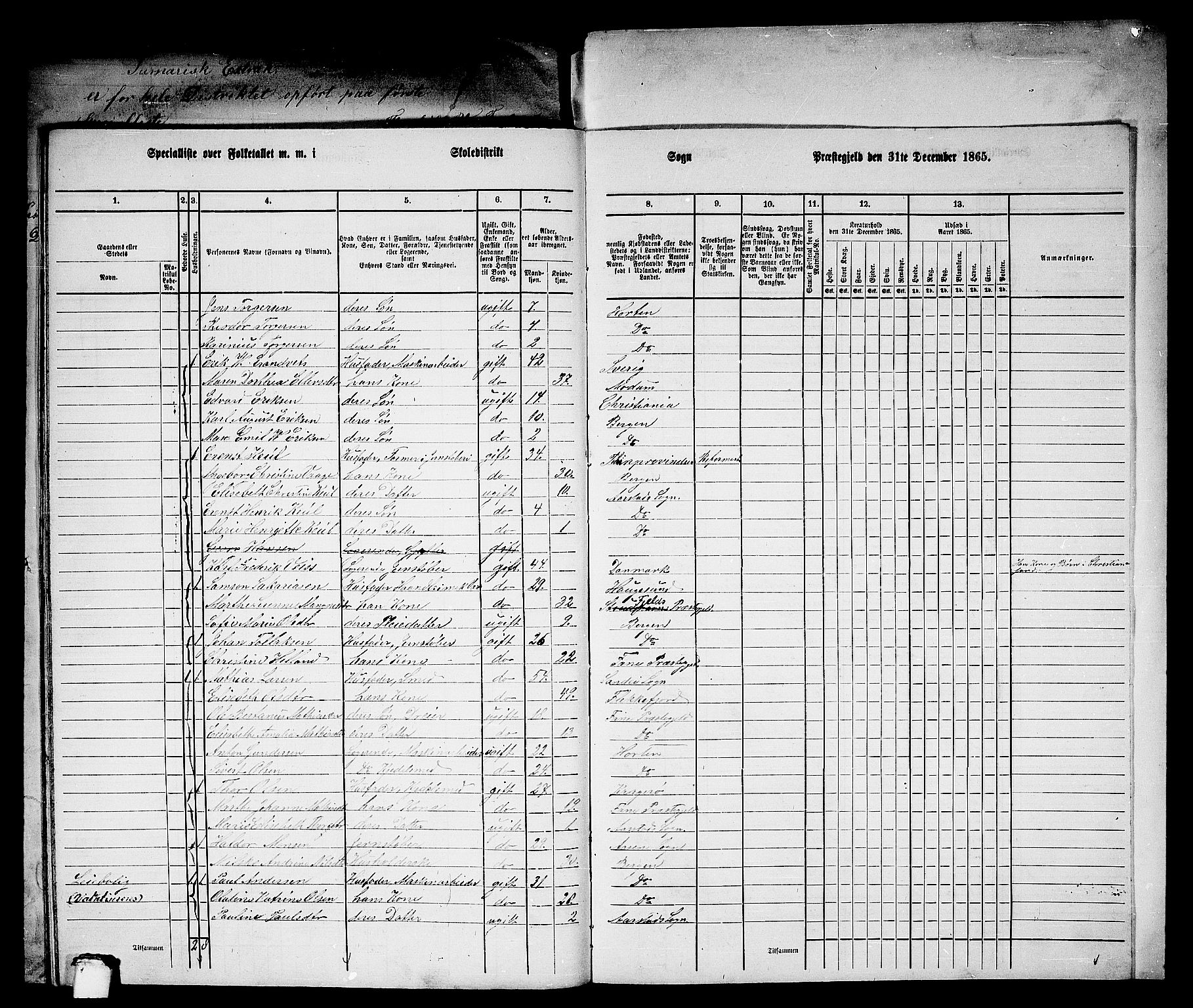 RA, 1865 census for St. Jørgens Hospital/Årstad, 1865, p. 43