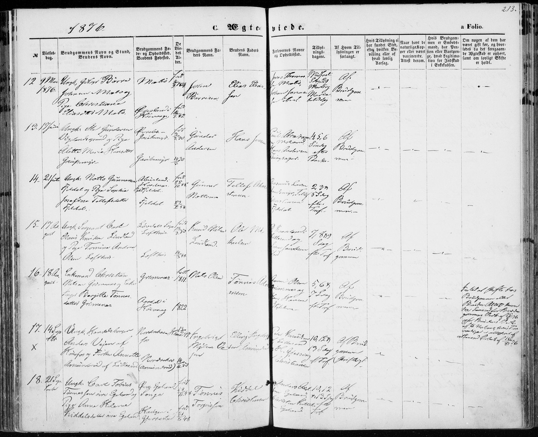 Vestre Moland sokneprestkontor, SAK/1111-0046/F/Fa/Fab/L0008: Parish register (official) no. A 8, 1873-1883, p. 213