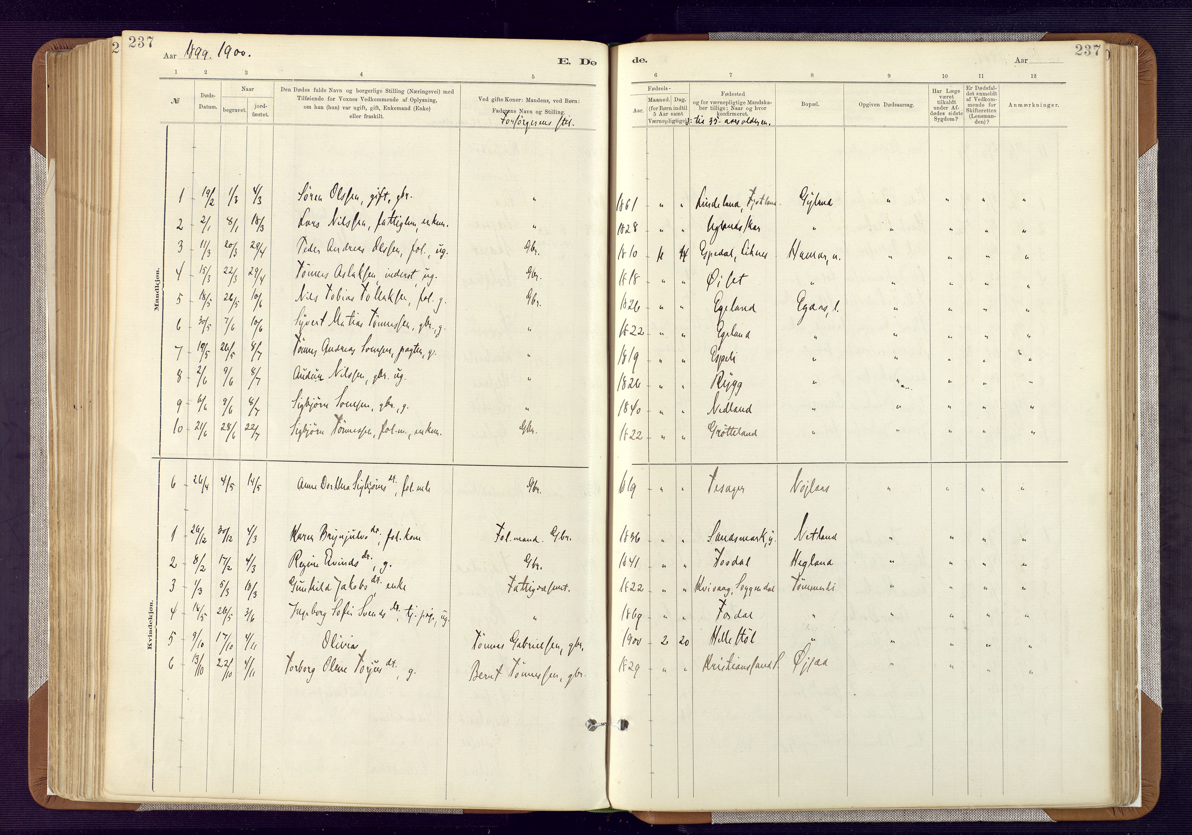 Bakke sokneprestkontor, SAK/1111-0002/F/Fa/Fab/L0003: Parish register (official) no. A 3, 1884-1921, p. 237