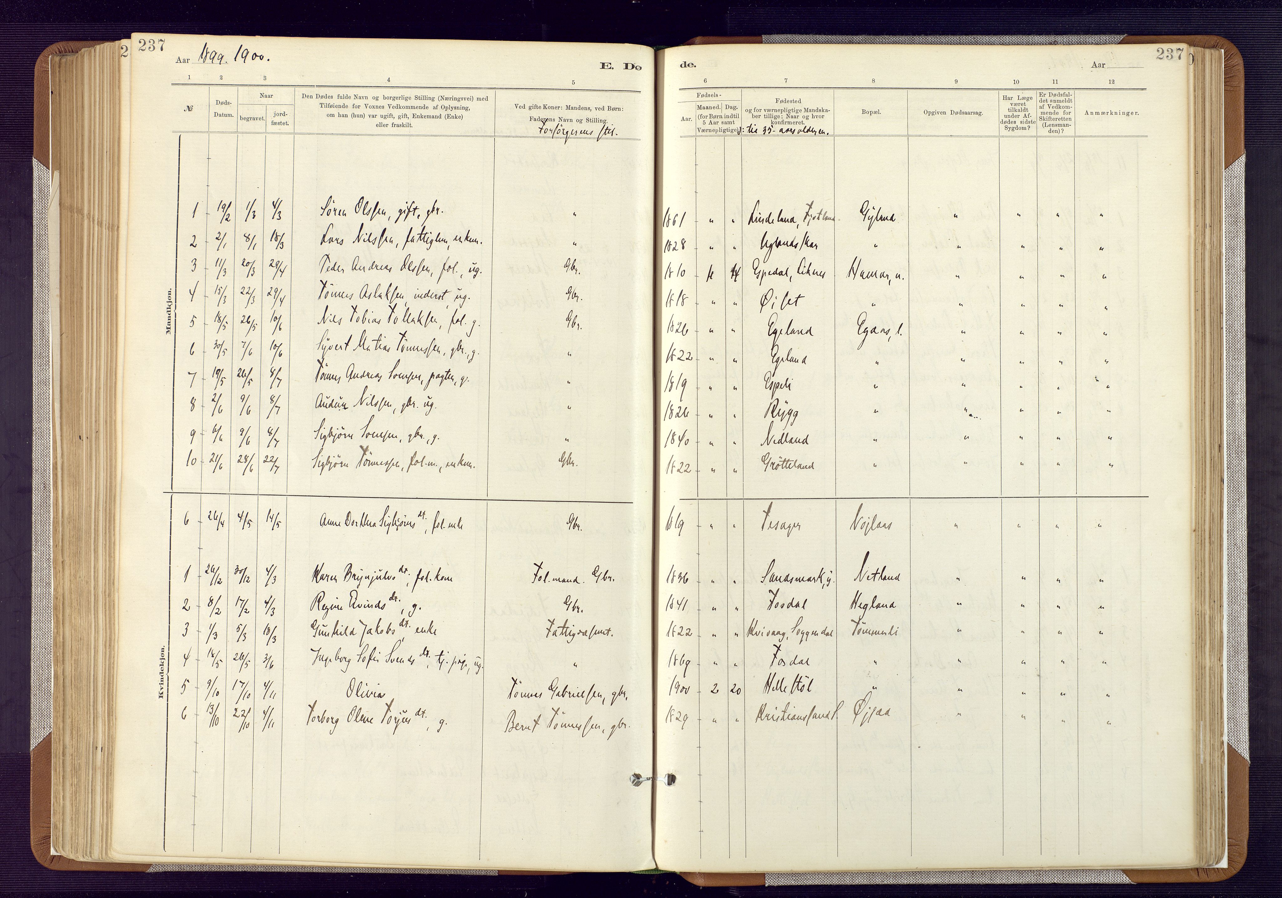 Bakke sokneprestkontor, AV/SAK-1111-0002/F/Fa/Fab/L0003: Parish register (official) no. A 3, 1884-1921, p. 237