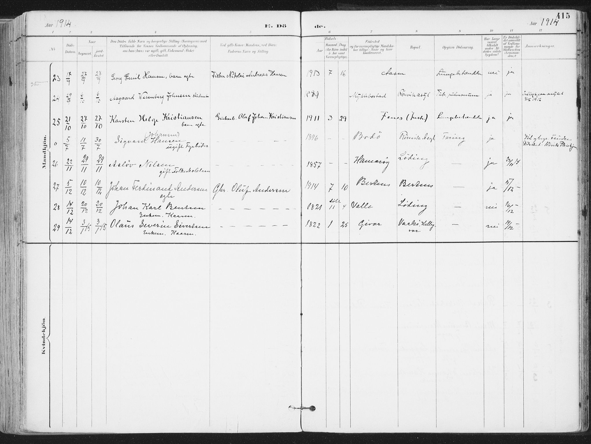 Ministerialprotokoller, klokkerbøker og fødselsregistre - Nordland, AV/SAT-A-1459/802/L0055: Parish register (official) no. 802A02, 1894-1915, p. 415