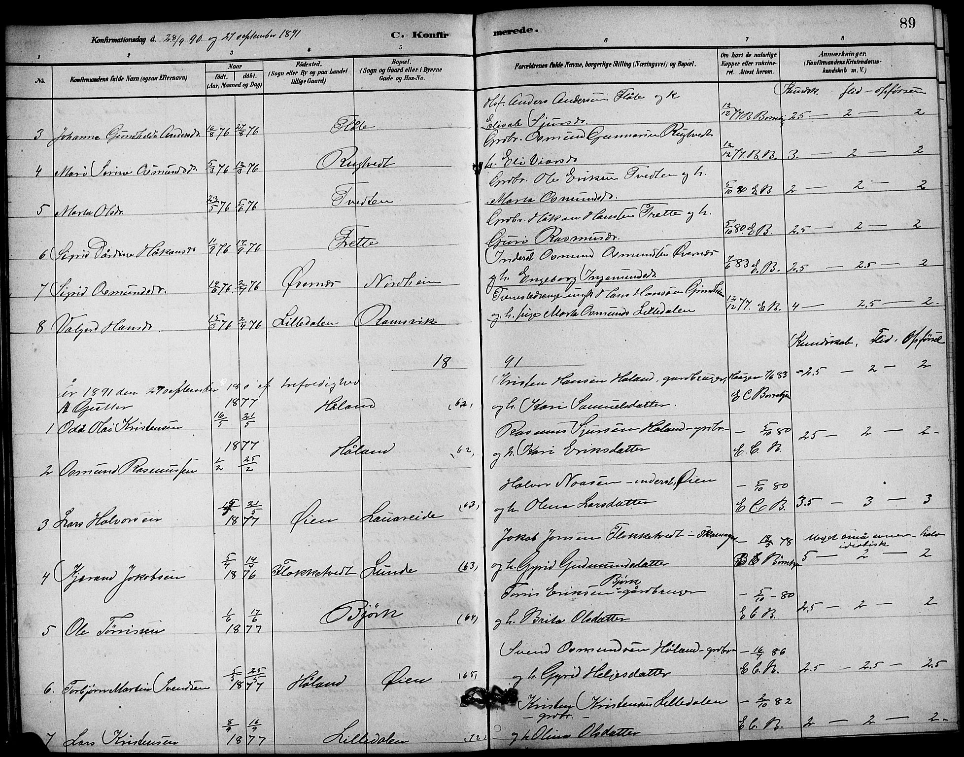 Etne sokneprestembete, SAB/A-75001/H/Hab: Parish register (copy) no. C 4, 1879-1896, p. 89