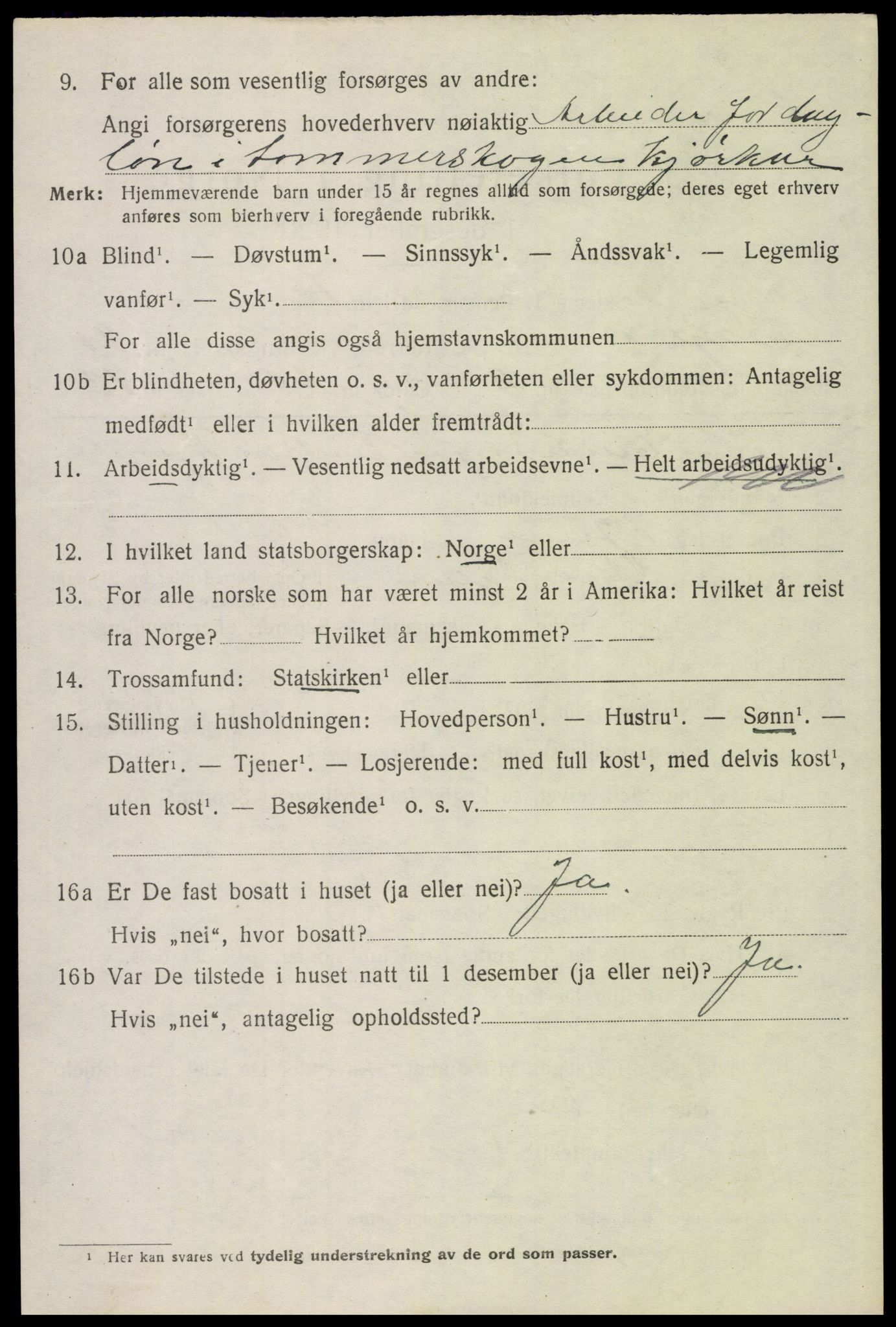 SAH, 1920 census for Trysil, 1920, p. 13038