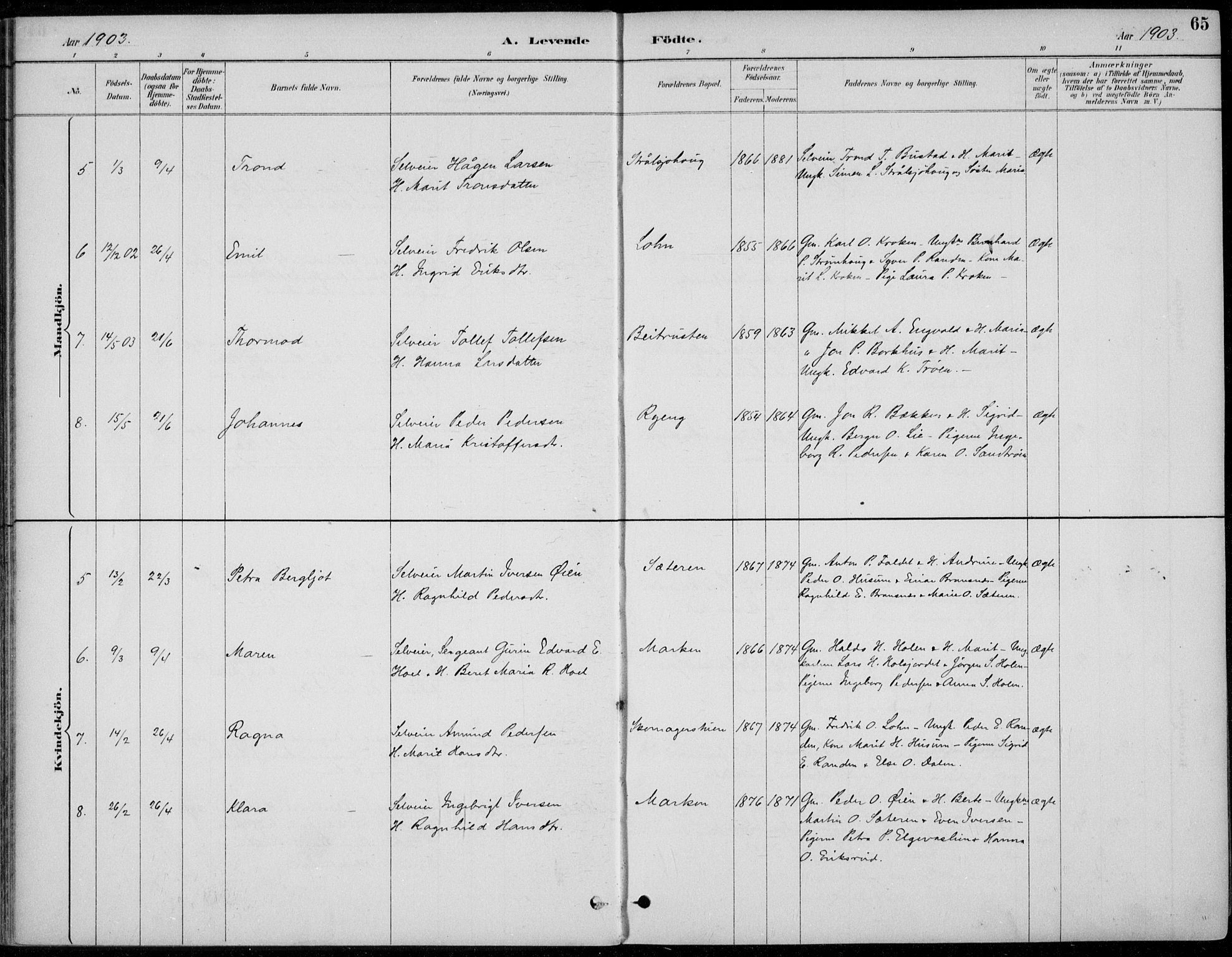 Alvdal prestekontor, AV/SAH-PREST-060/H/Ha/Haa/L0003: Parish register (official) no. 3, 1886-1912, p. 65