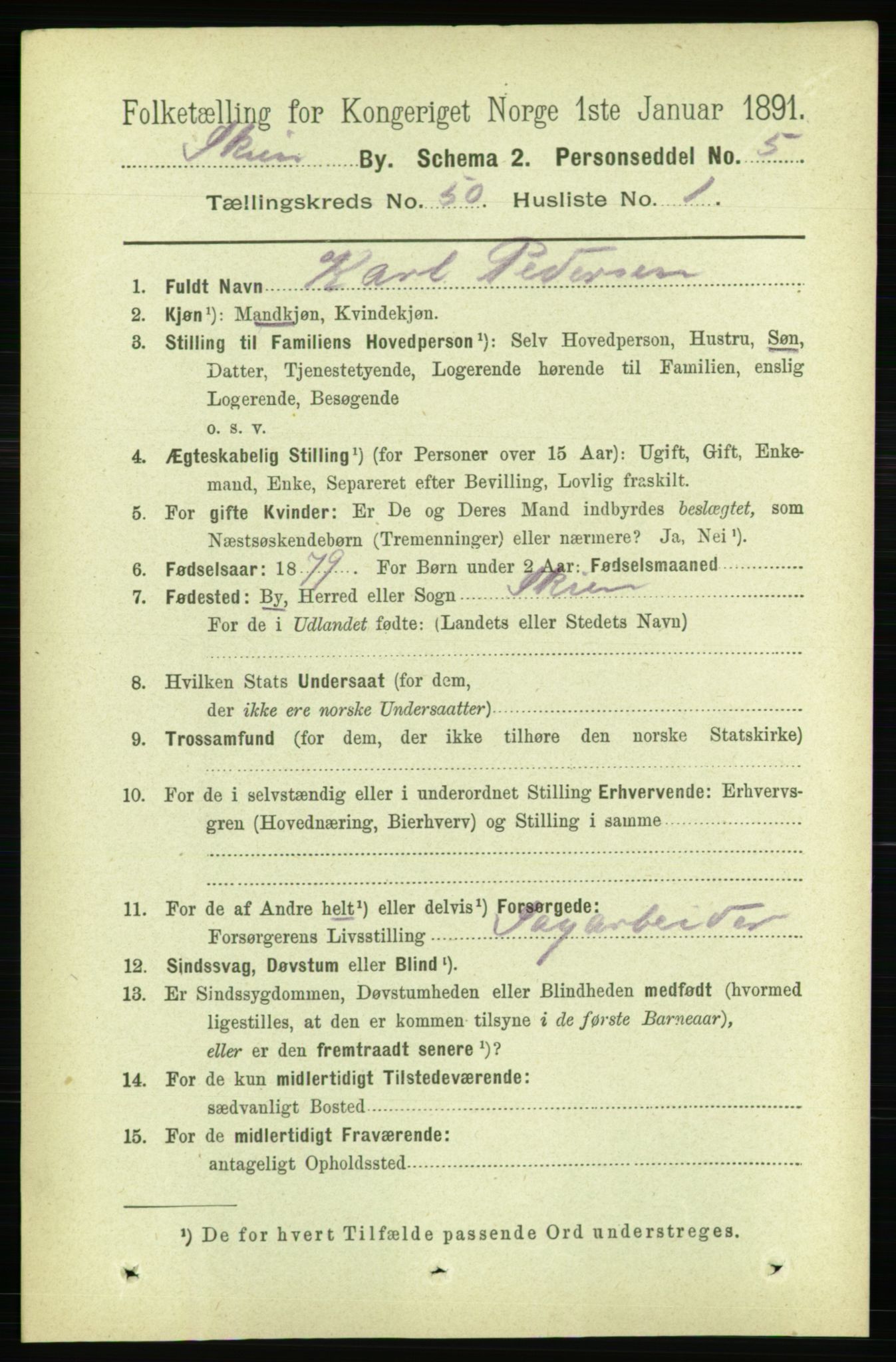 RA, 1891 census for 0806 Skien, 1891, p. 10733