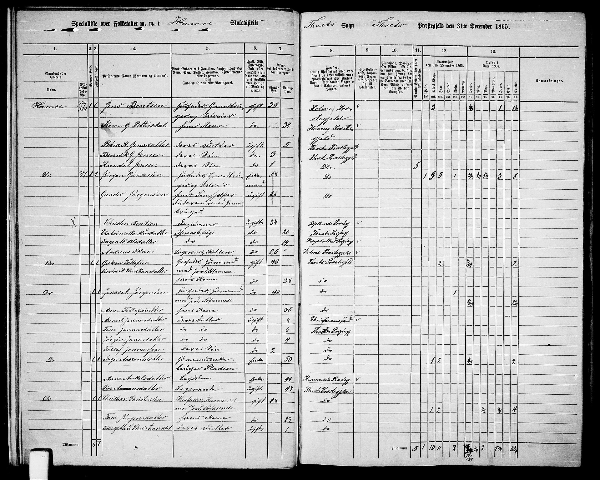 RA, 1865 census for Tveit, 1865, p. 17