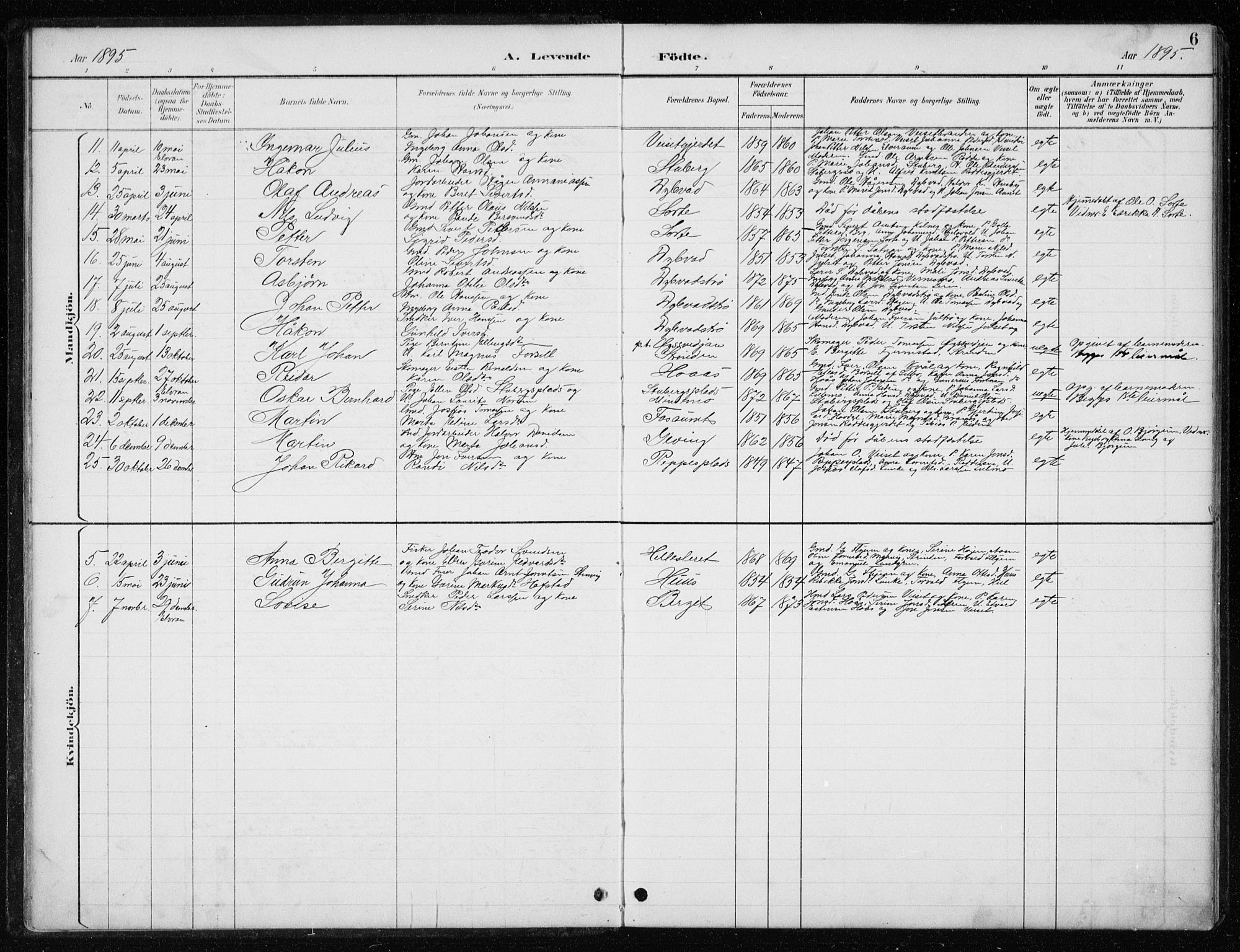 Ministerialprotokoller, klokkerbøker og fødselsregistre - Nord-Trøndelag, AV/SAT-A-1458/710/L0096: Parish register (copy) no. 710C01, 1892-1925, p. 6