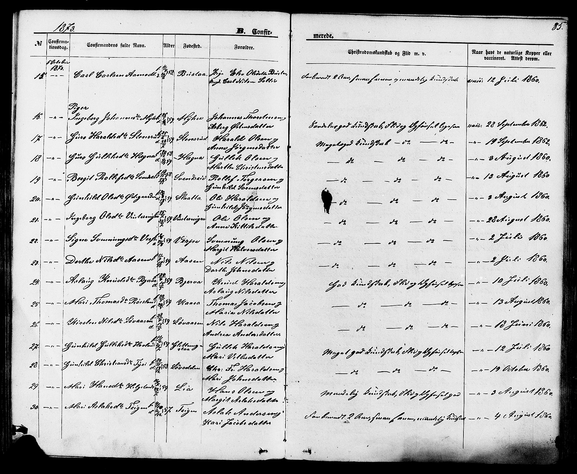 Lunde kirkebøker, SAKO/A-282/F/Fa/L0001: Parish register (official) no. I 1, 1866-1883, p. 85
