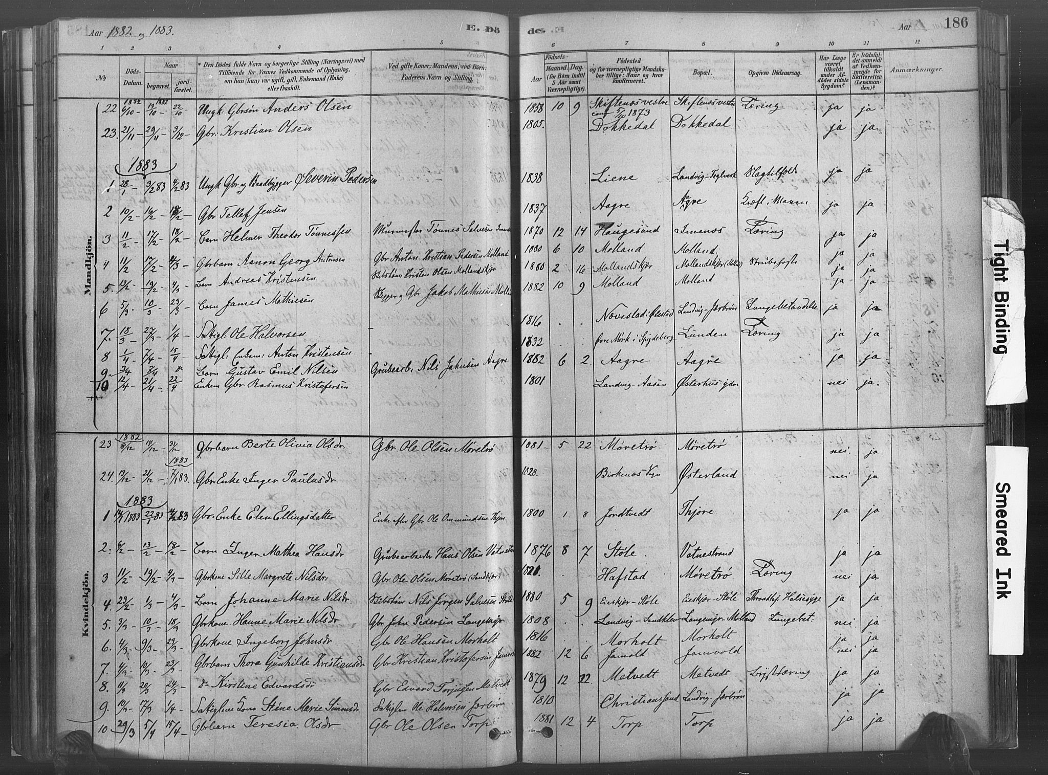 Hommedal sokneprestkontor, SAK/1111-0023/F/Fa/Fab/L0006: Parish register (official) no. A 6, 1878-1897, p. 186