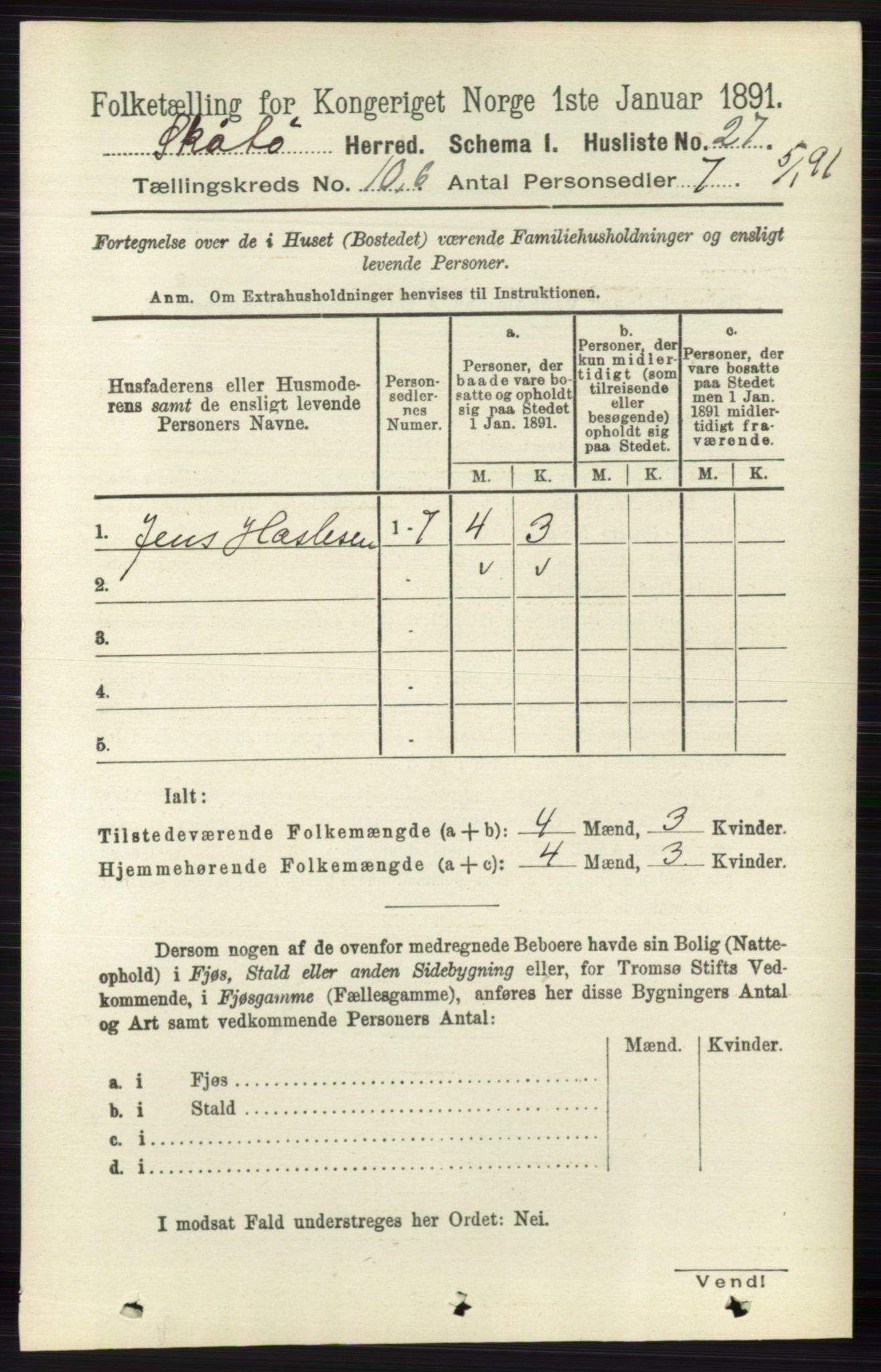 RA, 1891 census for 0815 Skåtøy, 1891, p. 4133