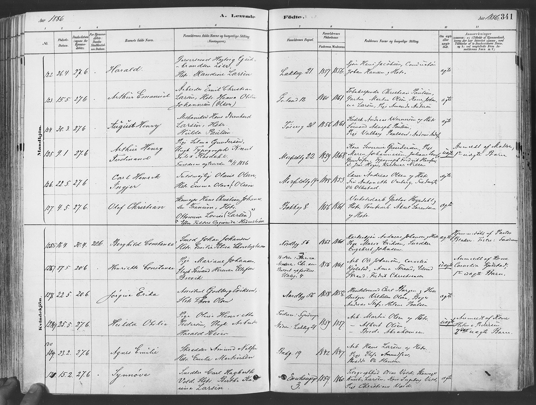 Grønland prestekontor Kirkebøker, SAO/A-10848/F/Fa/L0007: Parish register (official) no. 7, 1878-1888, p. 341