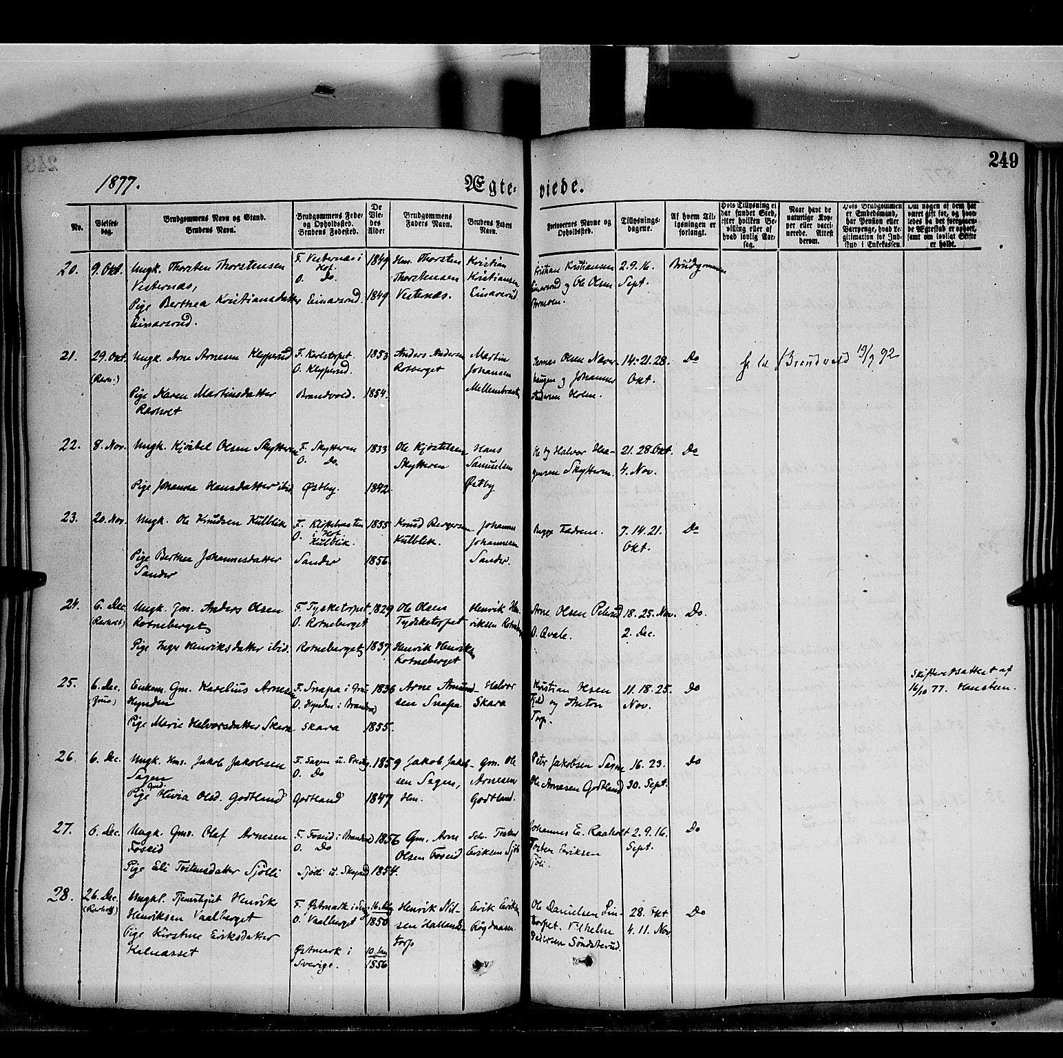 Grue prestekontor, AV/SAH-PREST-036/H/Ha/Haa/L0011: Parish register (official) no. 11, 1873-1880, p. 249