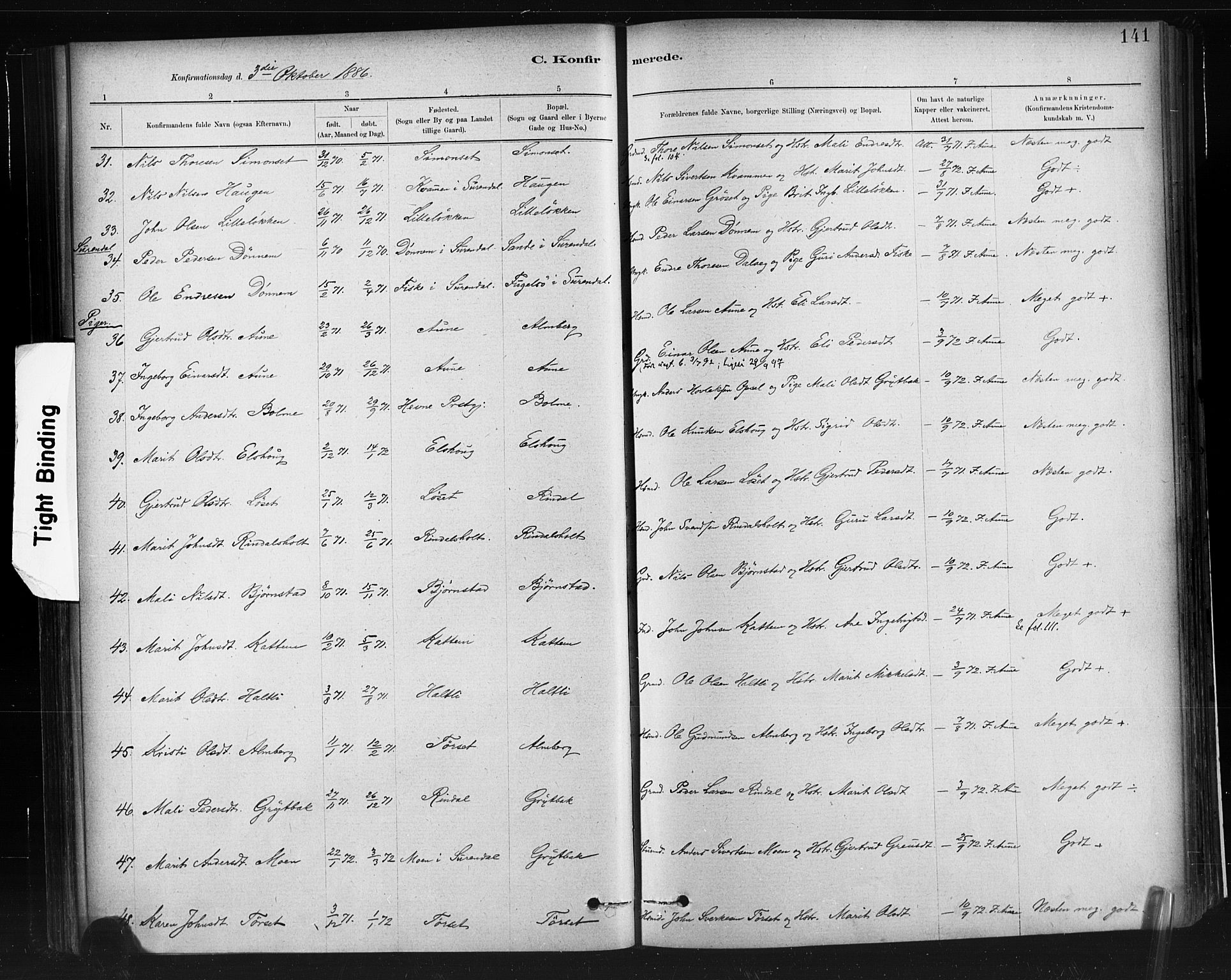 Ministerialprotokoller, klokkerbøker og fødselsregistre - Møre og Romsdal, AV/SAT-A-1454/598/L1069: Parish register (official) no. 598A03, 1882-1895, p. 141