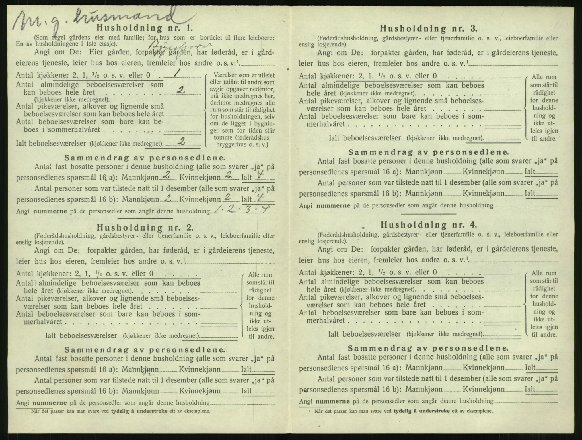 SAT, 1920 census for Vestnes, 1920, p. 1126