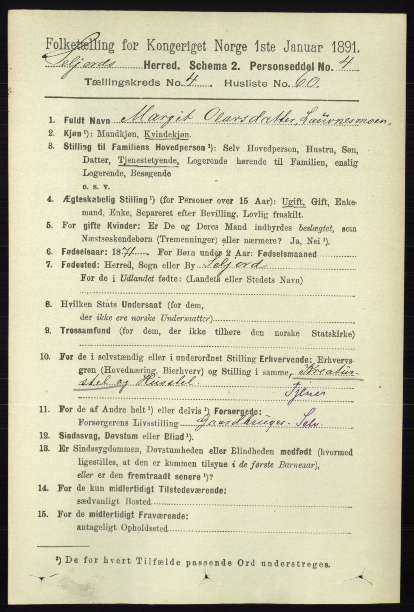 RA, 1891 census for 0828 Seljord, 1891, p. 1654