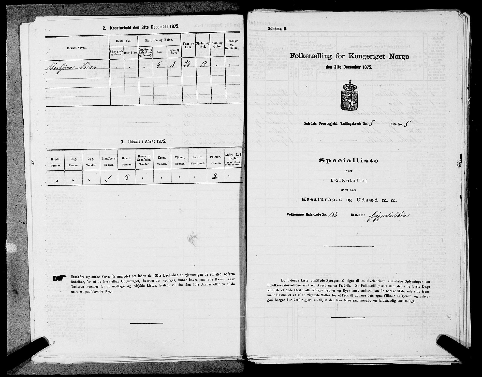 SAST, 1875 census for 1134P Suldal, 1875, p. 575