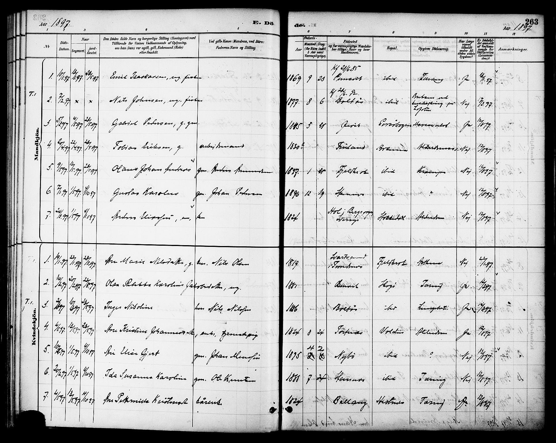 Ministerialprotokoller, klokkerbøker og fødselsregistre - Nordland, AV/SAT-A-1459/863/L0898: Parish register (official) no. 863A10, 1886-1897, p. 263