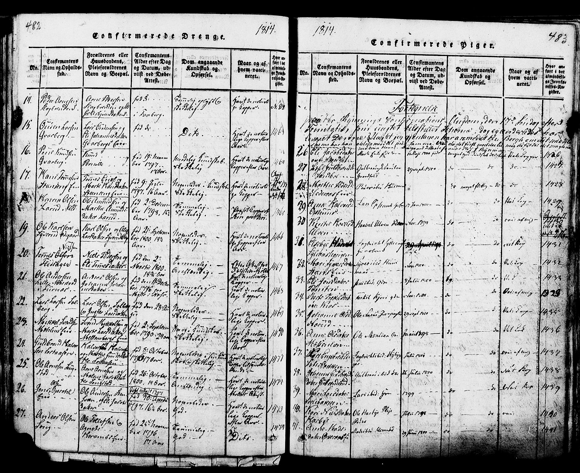 Ringsaker prestekontor, SAH/PREST-014/K/Ka/L0005: Parish register (official) no. 5, 1814-1826, p. 482-483