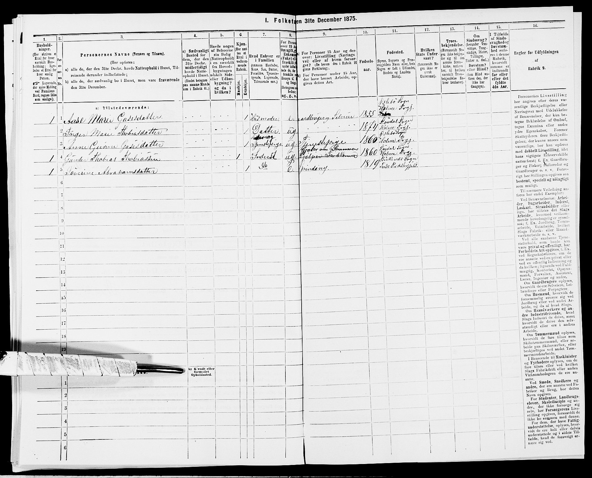 SAK, 1875 census for 1020P Holum, 1875, p. 1323