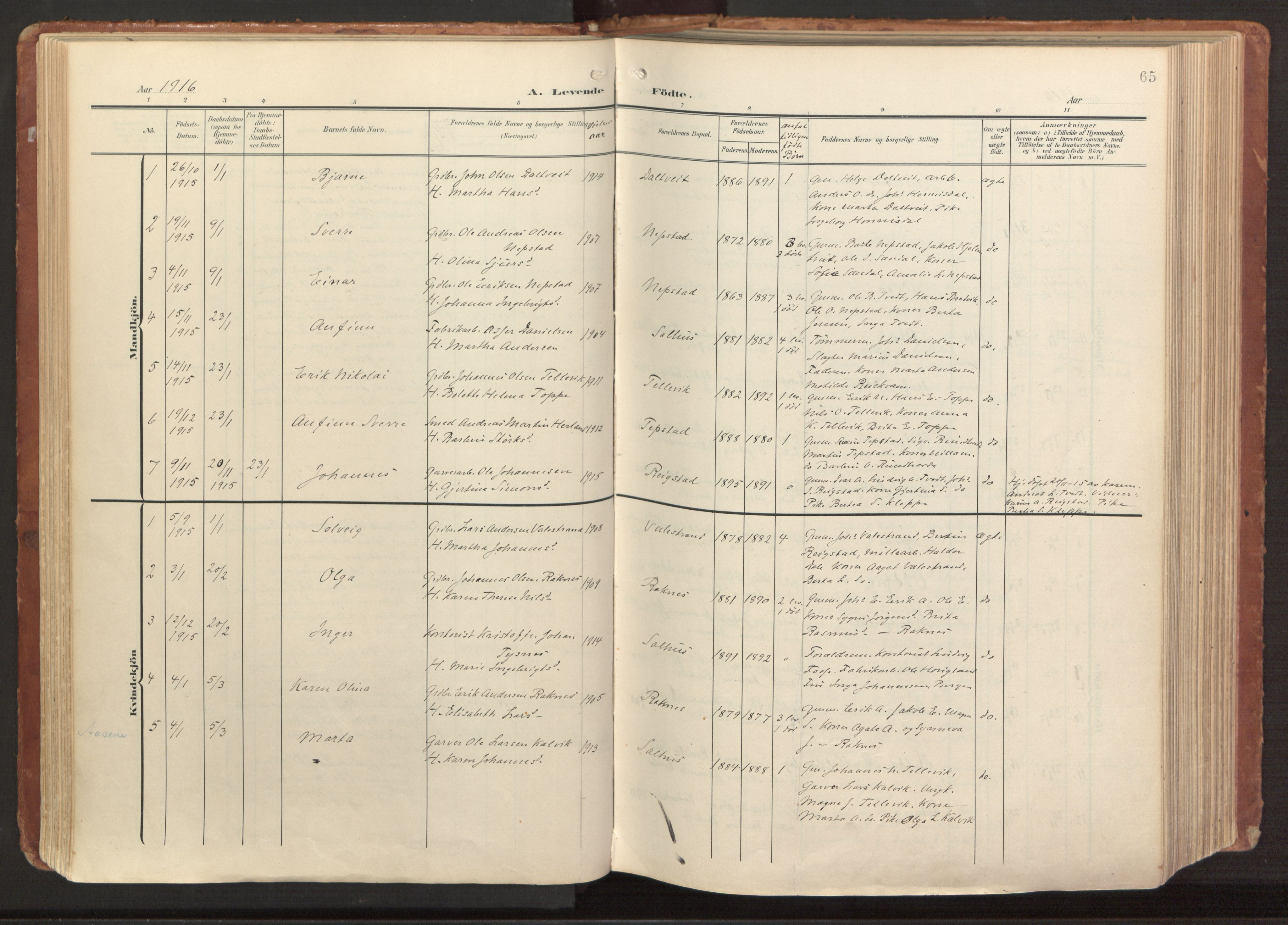 Hamre sokneprestembete, AV/SAB-A-75501/H/Ha/Haa/Haab/L0002: Parish register (official) no. B 2, 1905-1924, p. 65