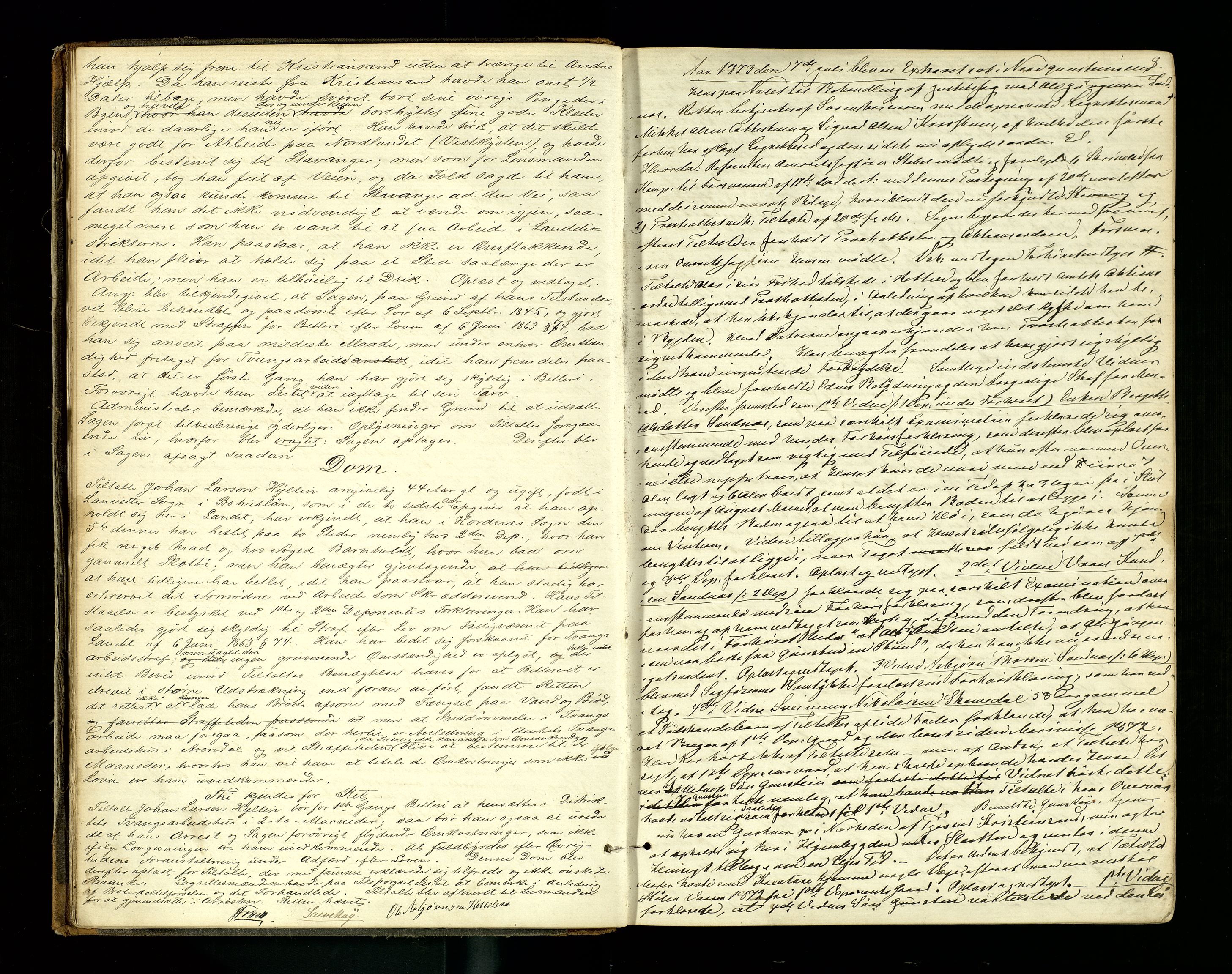 Setesdal sorenskriveri, SAK/1221-0011/F/Fb/L0008: Ekstrarettsprotokoll nr 8, 1873-1876, p. 8
