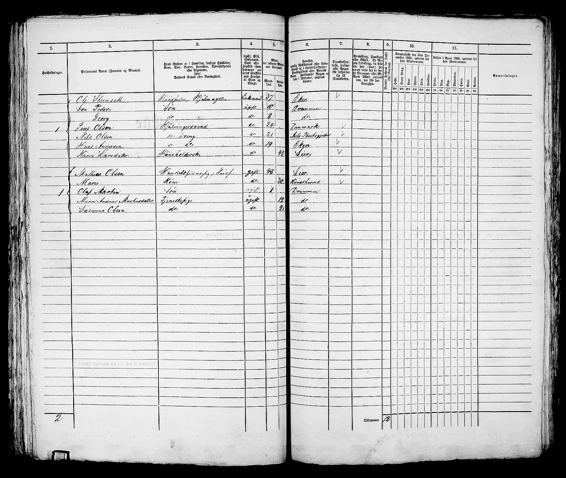 RA, 1865 census for Bragernes in Drammen, 1865, p. 196