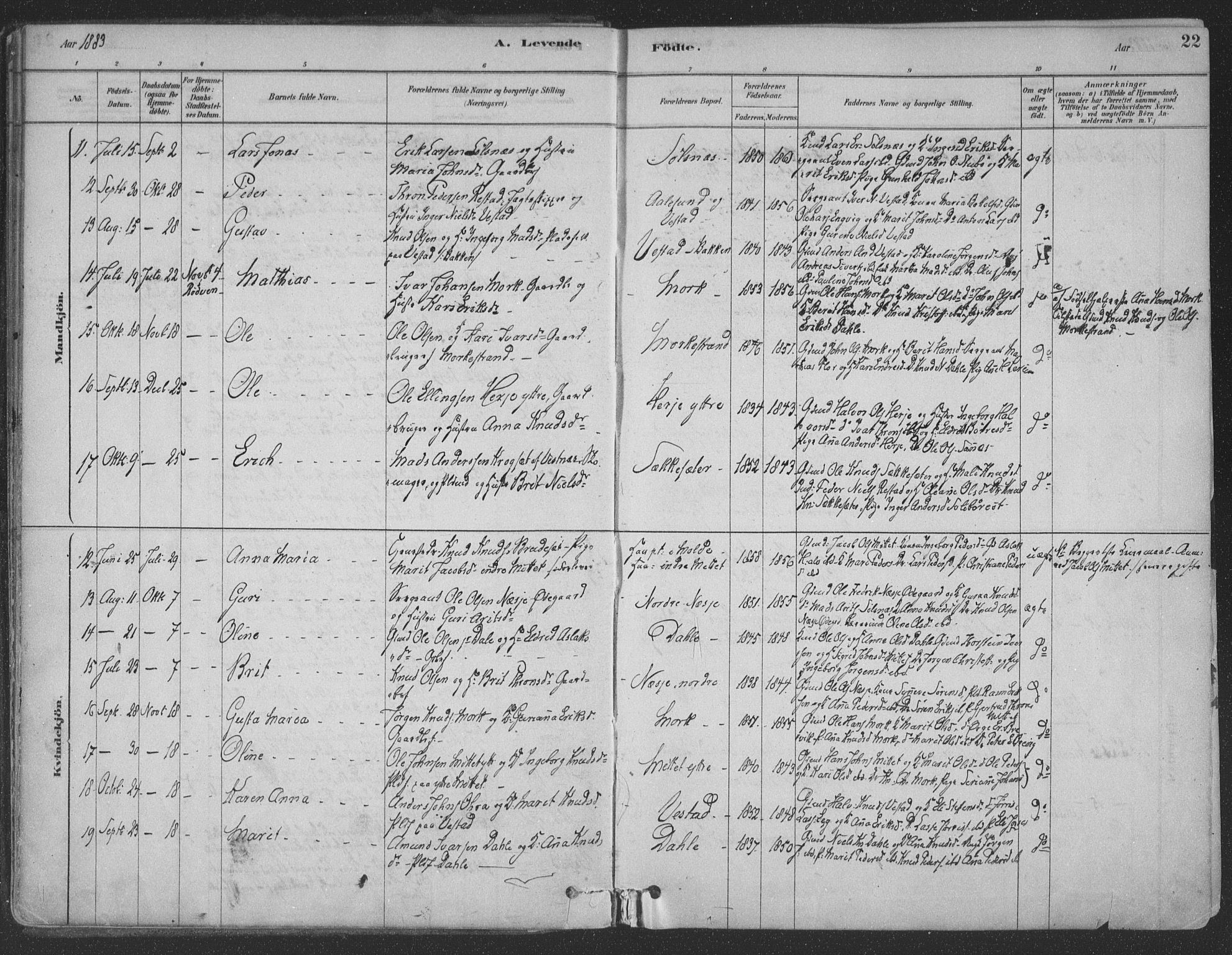 Ministerialprotokoller, klokkerbøker og fødselsregistre - Møre og Romsdal, AV/SAT-A-1454/547/L0604: Parish register (official) no. 547A06, 1878-1906, p. 22