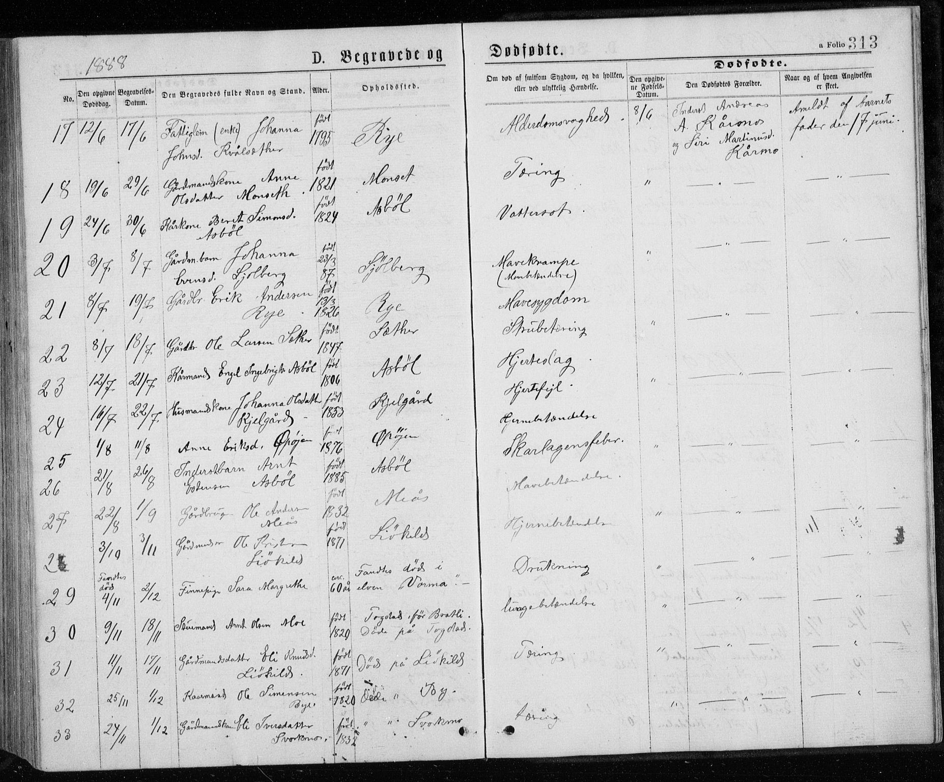 Ministerialprotokoller, klokkerbøker og fødselsregistre - Sør-Trøndelag, SAT/A-1456/671/L0843: Parish register (copy) no. 671C02, 1873-1892, p. 313