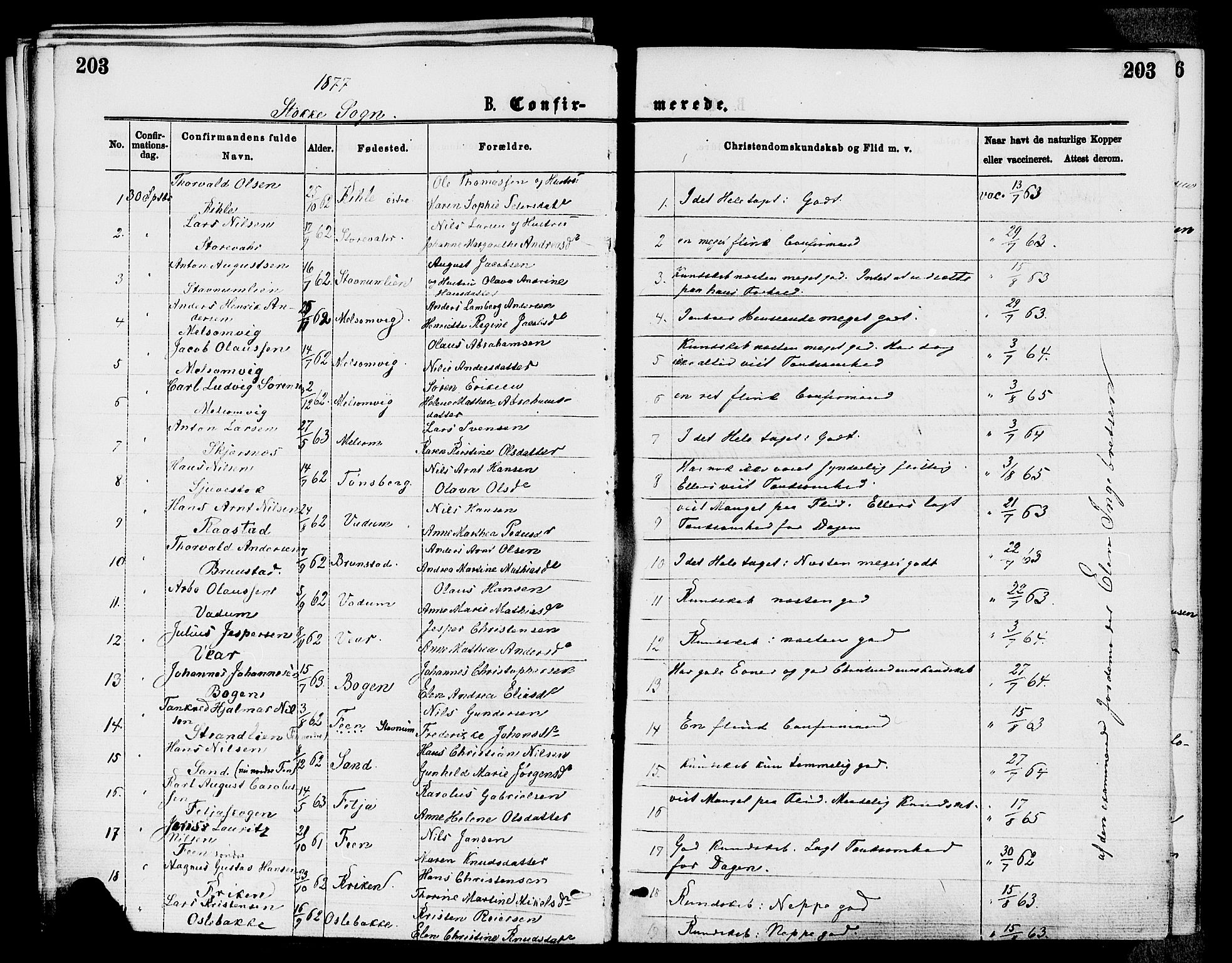 Stokke kirkebøker, SAKO/A-320/F/Fa/L0009: Parish register (official) no. I 9, 1872-1883, p. 203