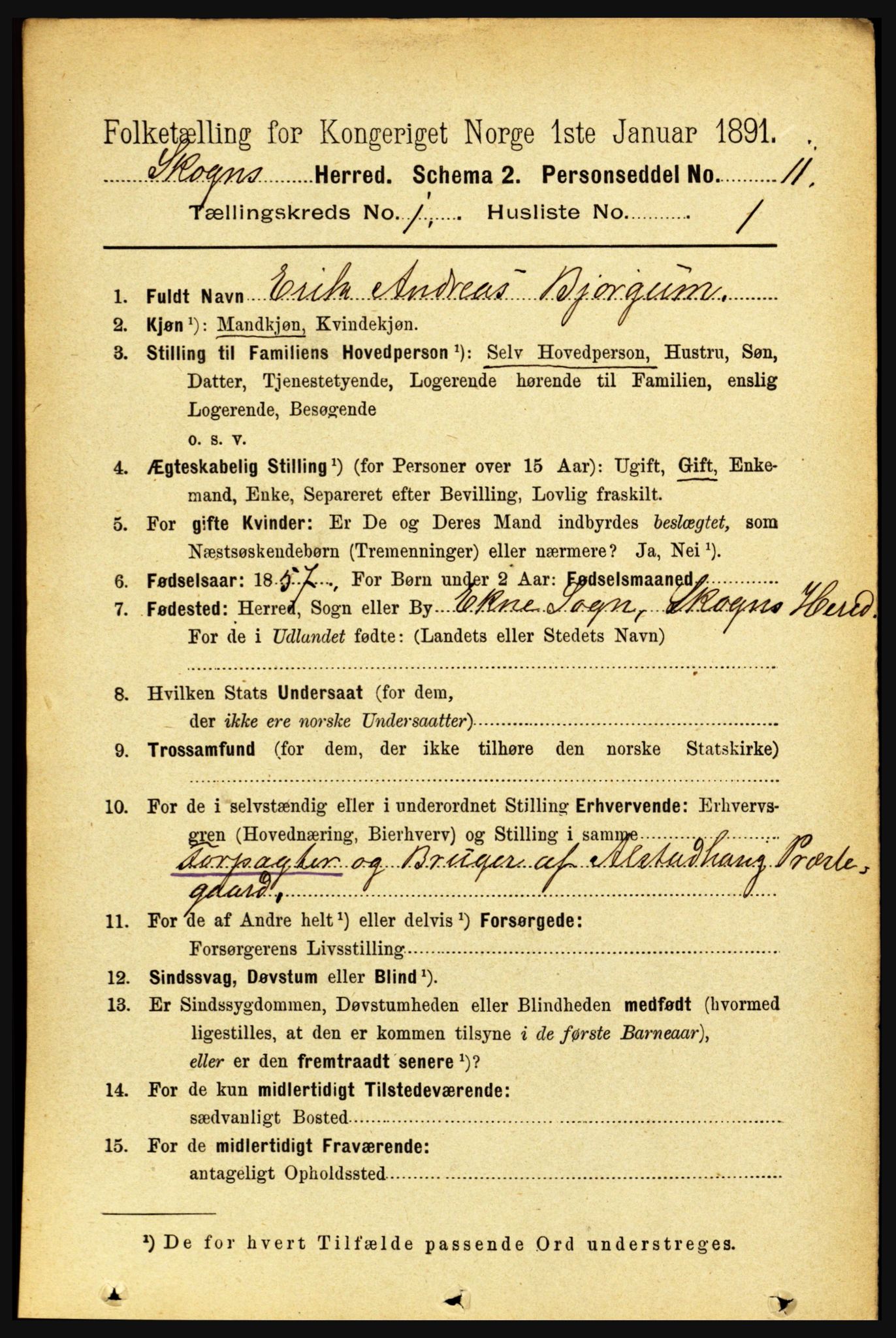 RA, 1891 census for 1719 Skogn, 1891, p. 157