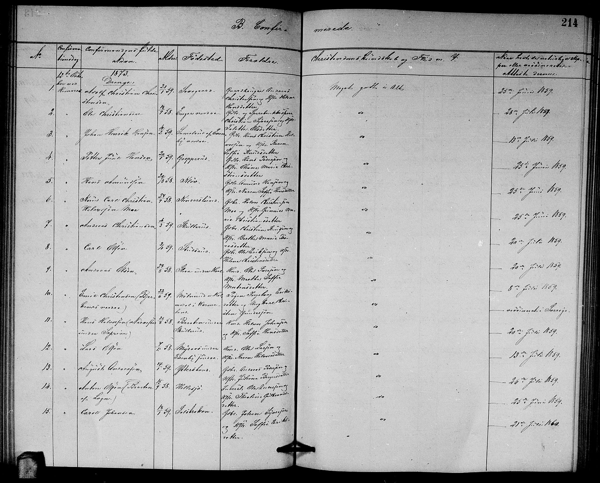 Høland prestekontor Kirkebøker, AV/SAO-A-10346a/G/Ga/L0006: Parish register (copy) no. I 6, 1869-1879, p. 214