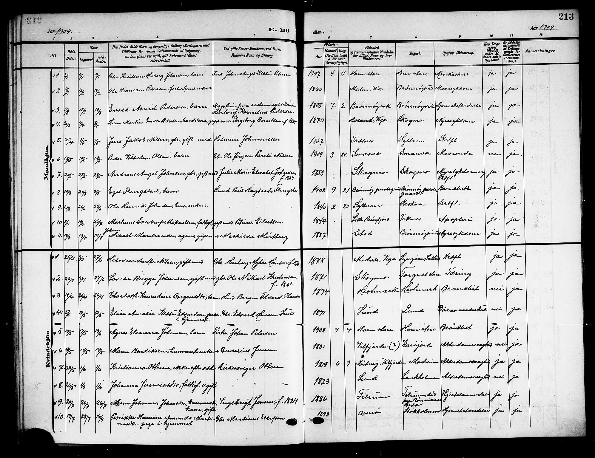 Ministerialprotokoller, klokkerbøker og fødselsregistre - Nordland, SAT/A-1459/813/L0214: Parish register (copy) no. 813C06, 1904-1917, p. 213