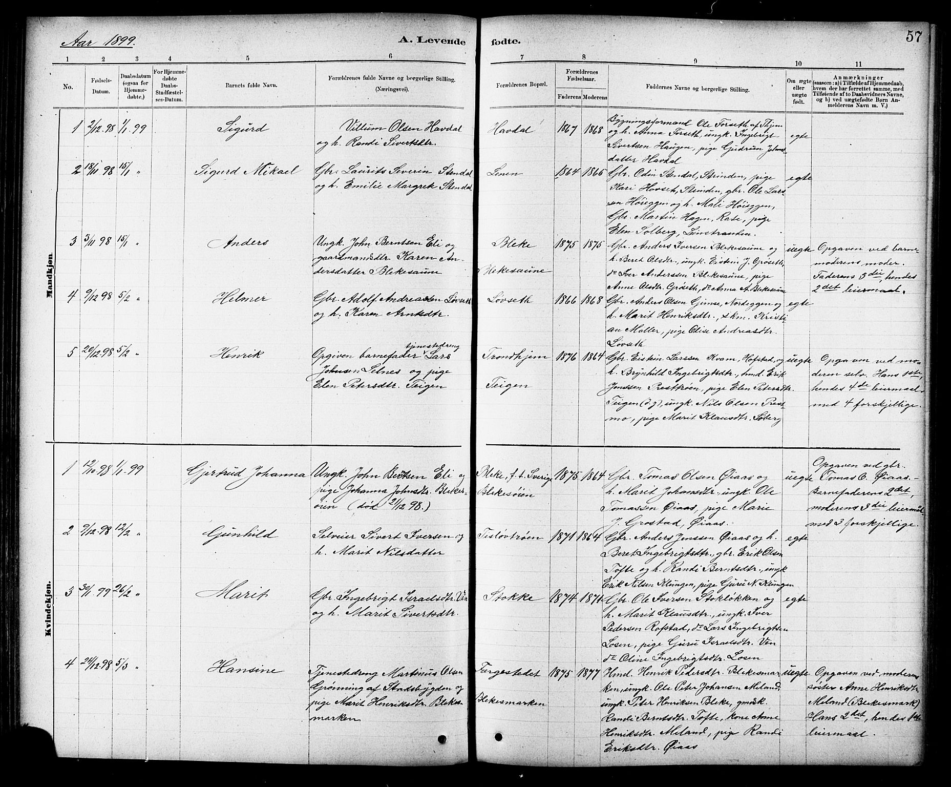 Ministerialprotokoller, klokkerbøker og fødselsregistre - Sør-Trøndelag, SAT/A-1456/691/L1094: Parish register (copy) no. 691C05, 1879-1911, p. 57
