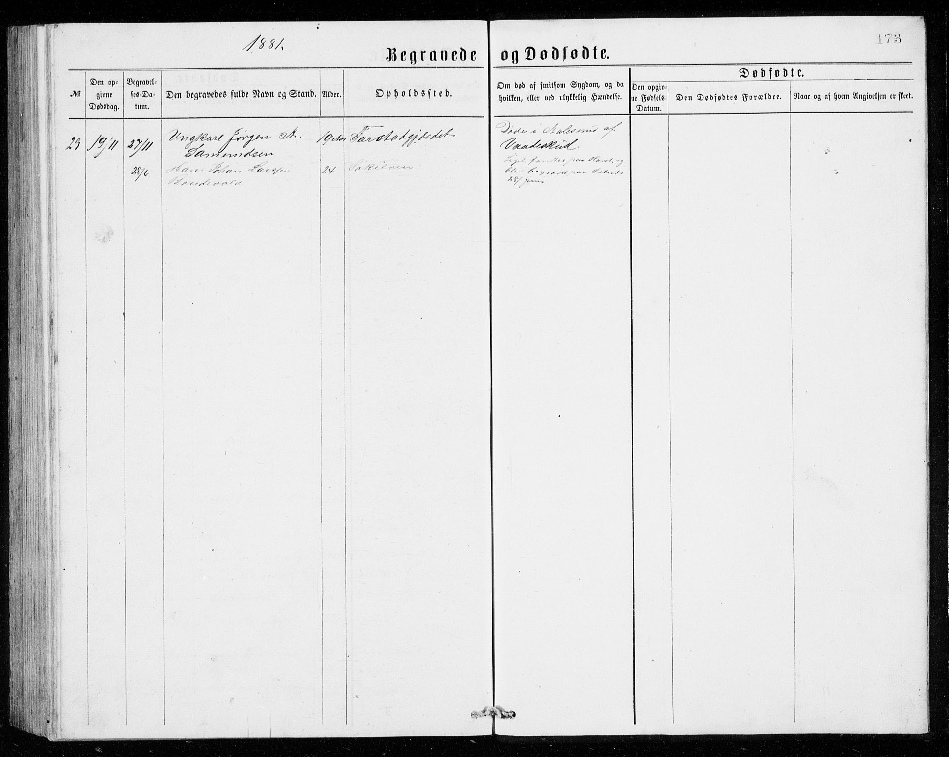 Ministerialprotokoller, klokkerbøker og fødselsregistre - Møre og Romsdal, AV/SAT-A-1454/536/L0509: Parish register (copy) no. 536C04, 1871-1881, p. 173