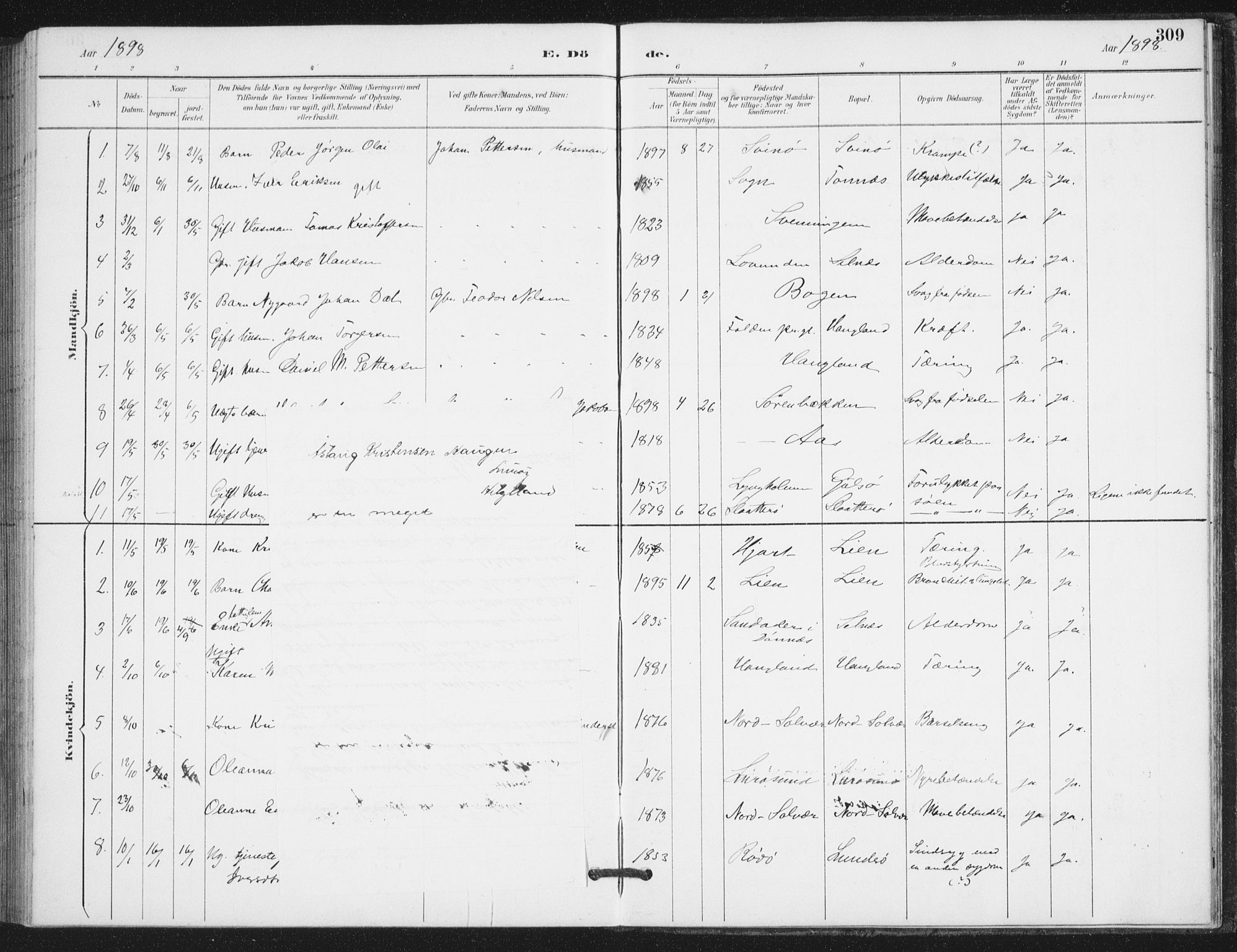 Ministerialprotokoller, klokkerbøker og fødselsregistre - Nordland, AV/SAT-A-1459/839/L0573: Parish register (copy) no. 839C03, 1892-1917, p. 309