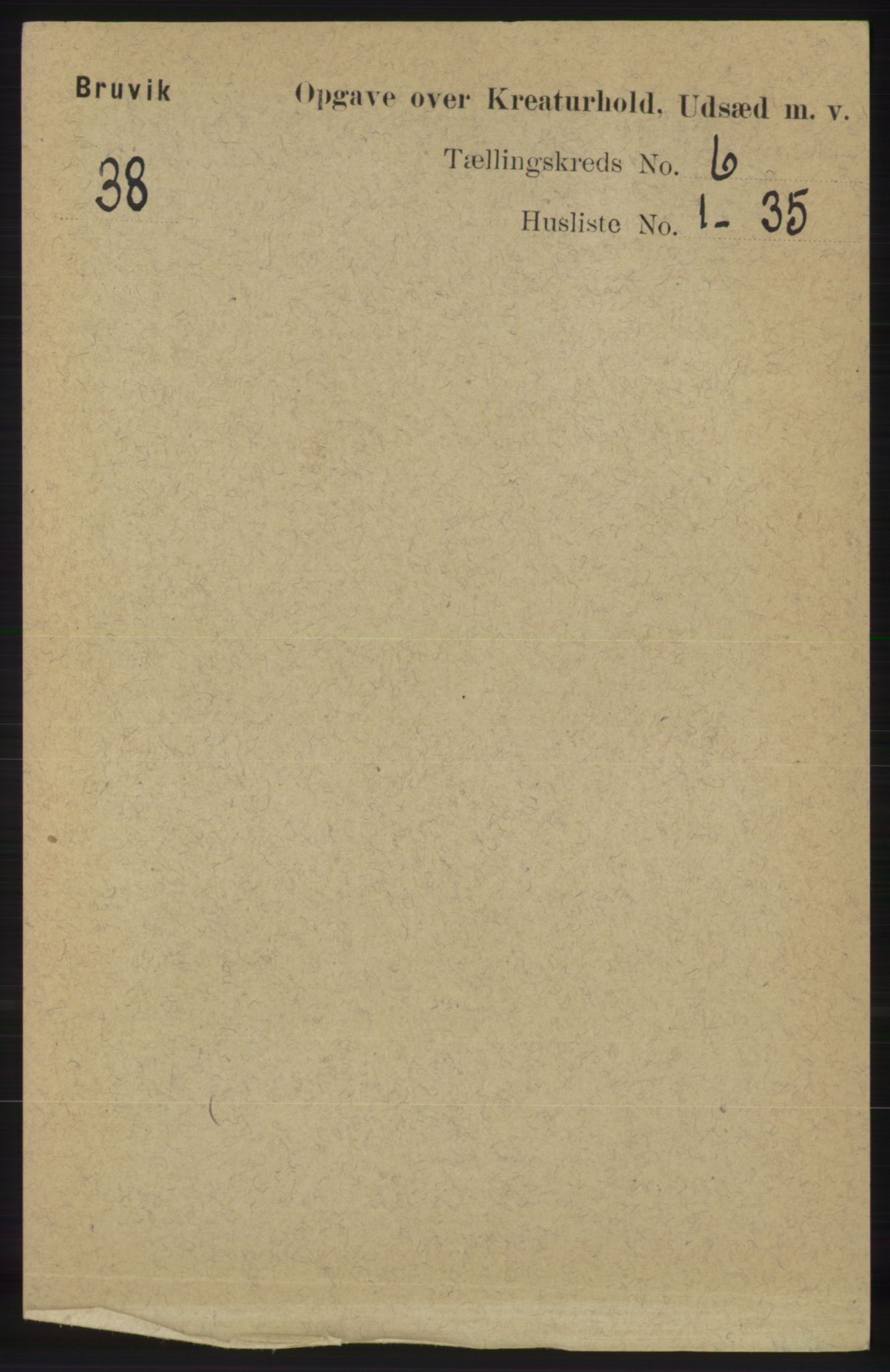 RA, 1891 census for 1251 Bruvik, 1891, p. 4557