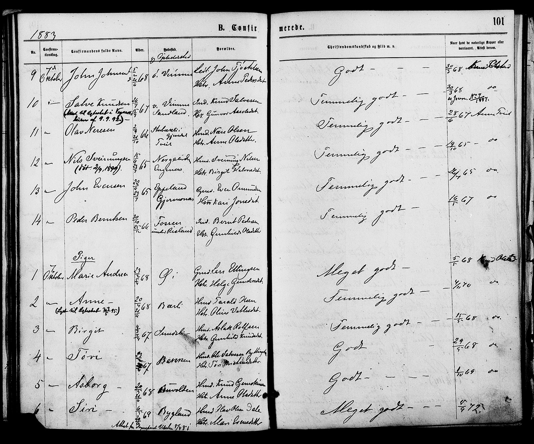 Åmli sokneprestkontor, AV/SAK-1111-0050/F/Fa/Fac/L0009: Parish register (official) no. A 9 /1, 1869-1884, p. 101