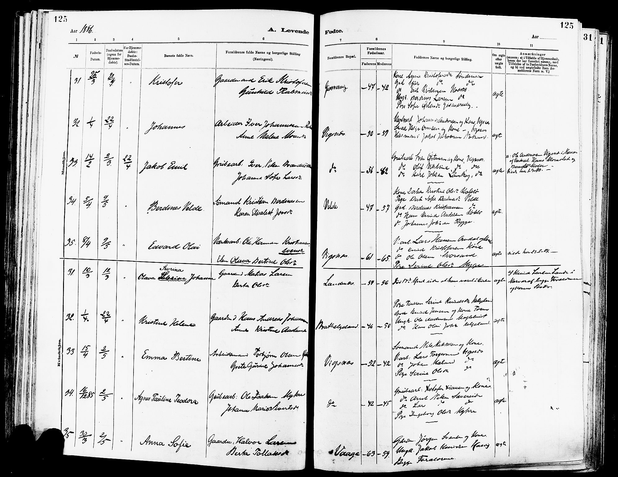 Avaldsnes sokneprestkontor, AV/SAST-A -101851/H/Ha/Haa/L0014: Parish register (official) no. A 14, 1880-1889, p. 125