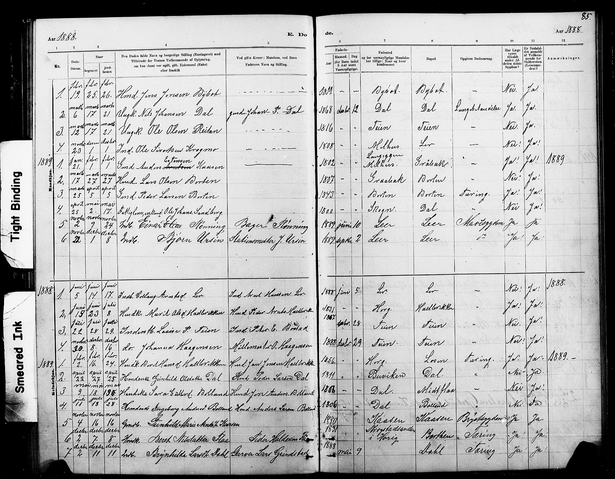 Ministerialprotokoller, klokkerbøker og fødselsregistre - Sør-Trøndelag, SAT/A-1456/693/L1123: Parish register (copy) no. 693C04, 1887-1910, p. 85