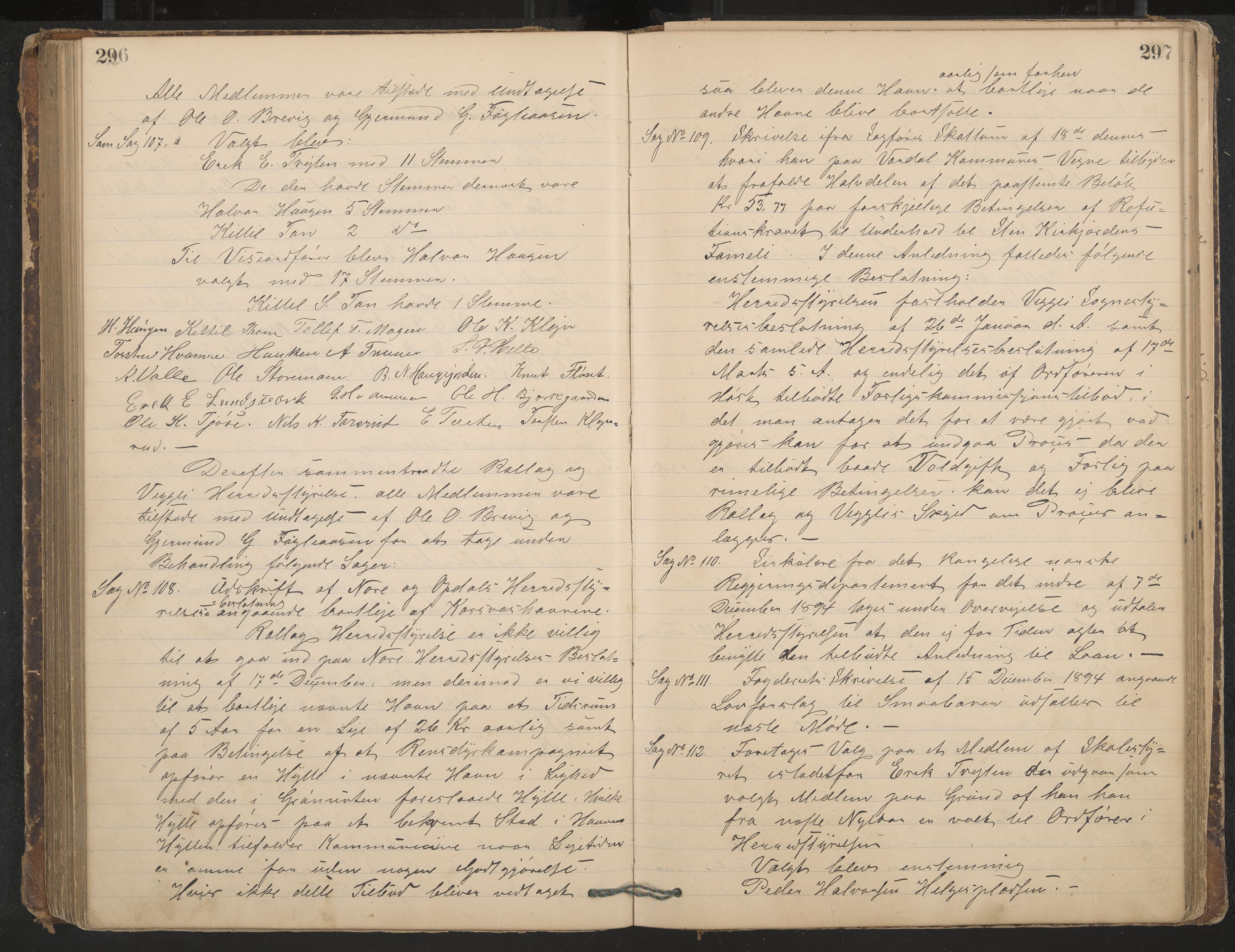 Rollag formannskap og sentraladministrasjon, IKAK/0632021-2/A/Aa/L0003: Møtebok, 1884-1897, p. 296-297