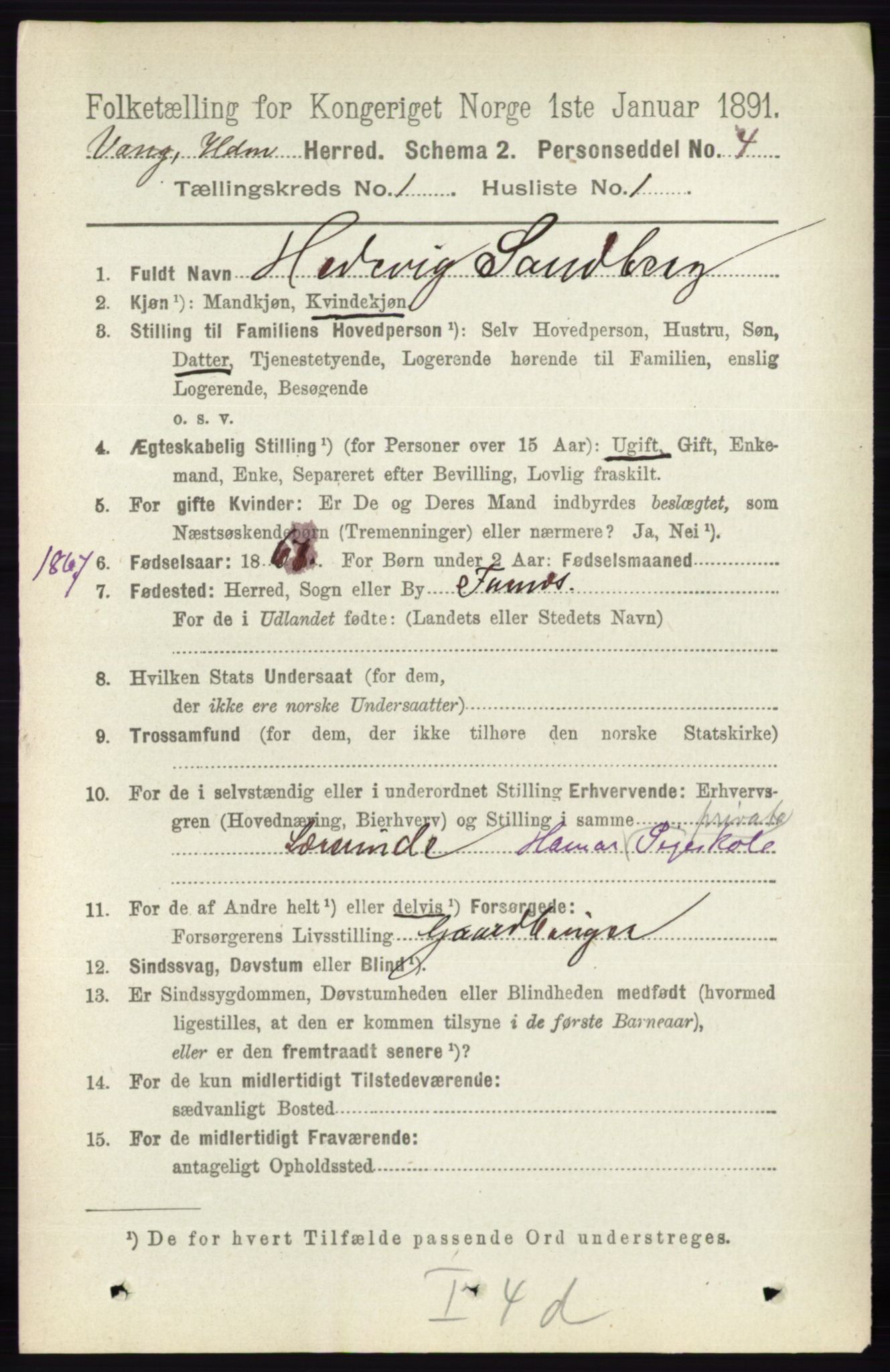 RA, 1891 census for 0414 Vang, 1891, p. 175