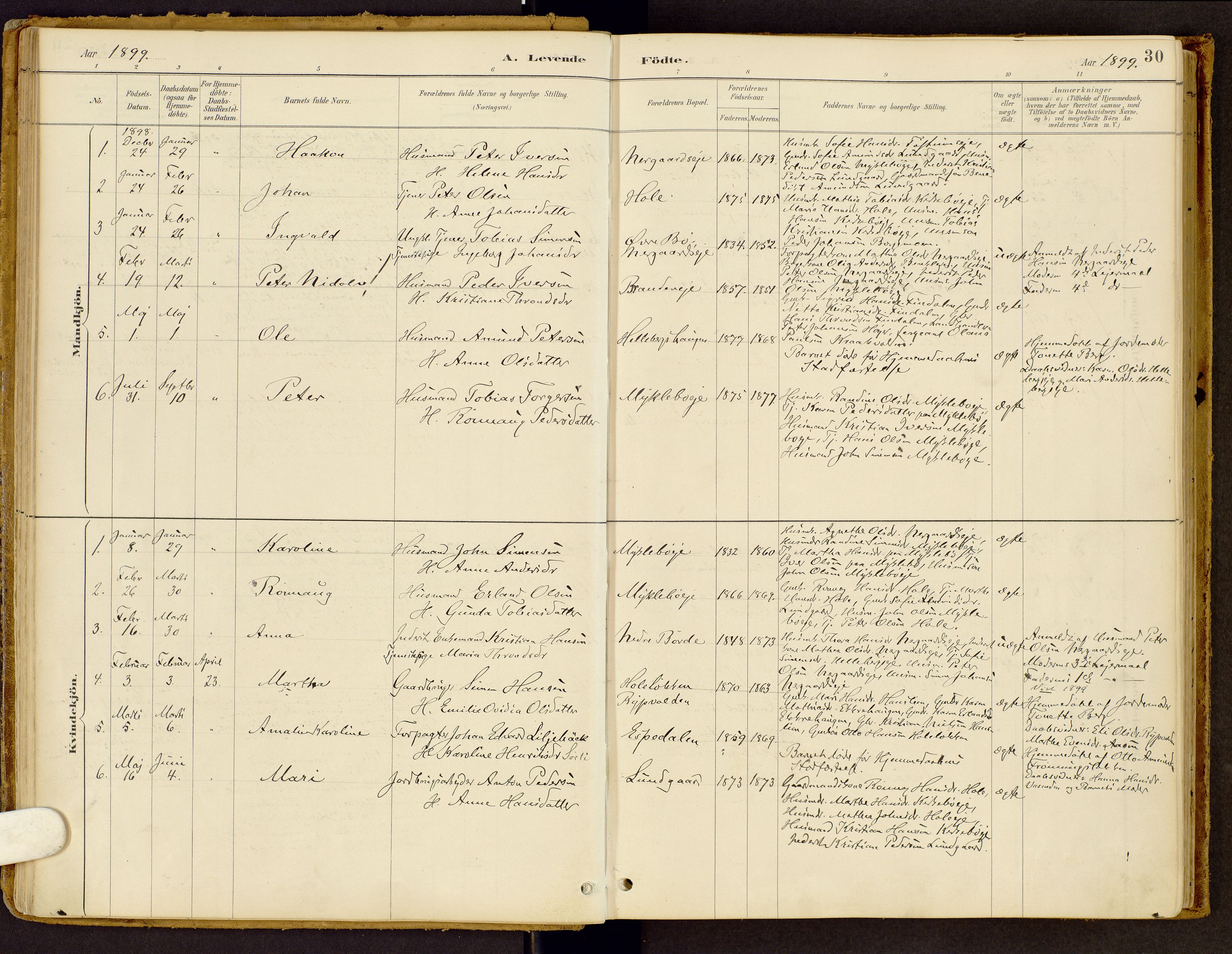 Vestre Gausdal prestekontor, SAH/PREST-094/H/Ha/Haa/L0002: Parish register (official) no. 2, 1887-1918, p. 30
