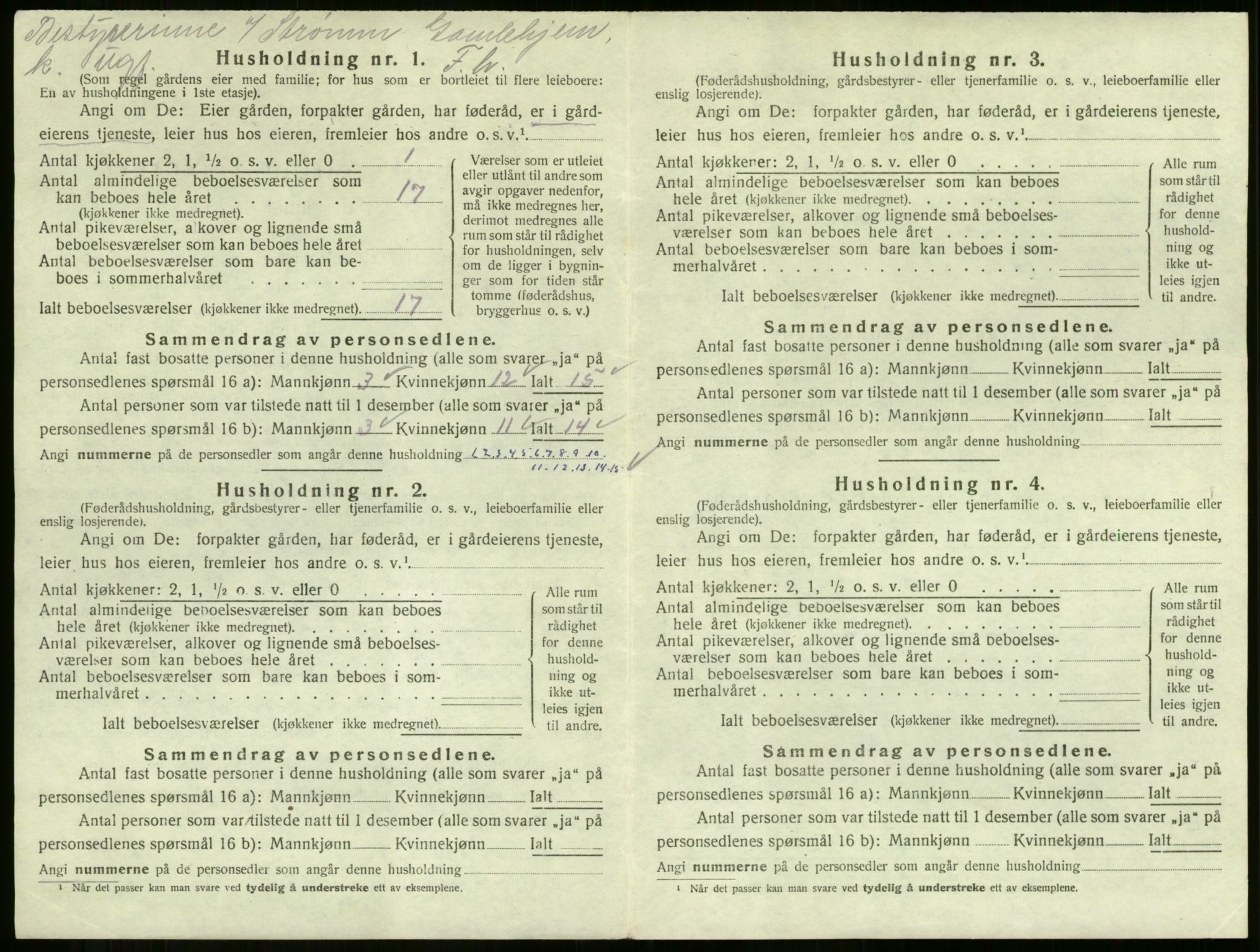 SAKO, 1920 census for Strømm, 1920, p. 23